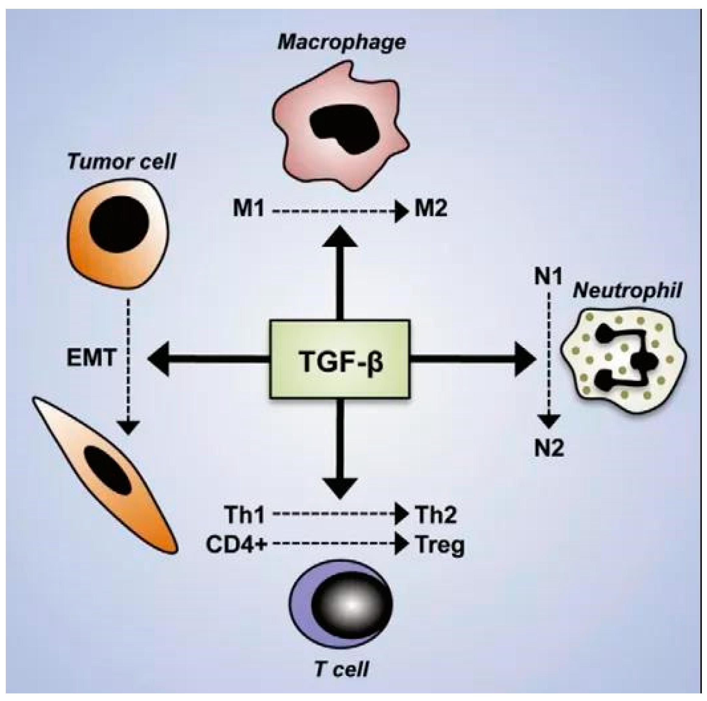 Biomolecules 15 00679 g004