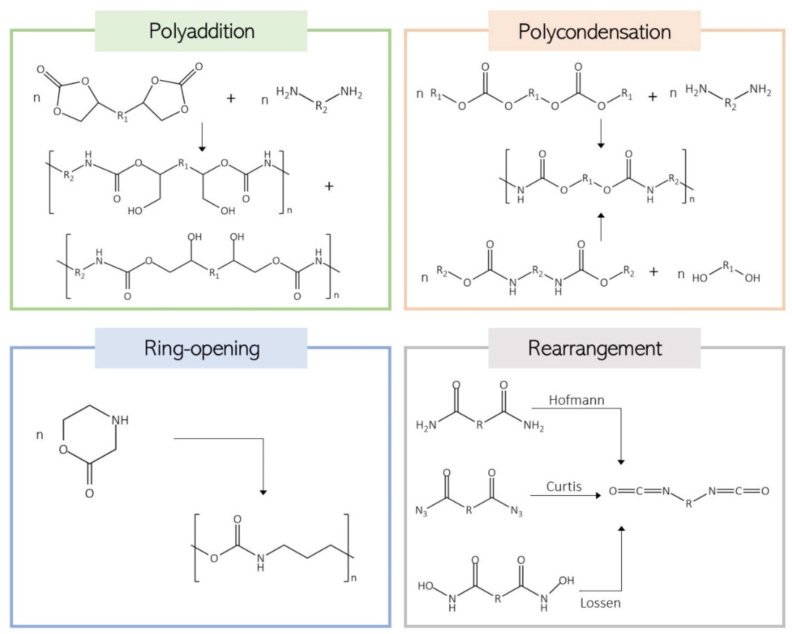 Biomolecules 15 00680 g006