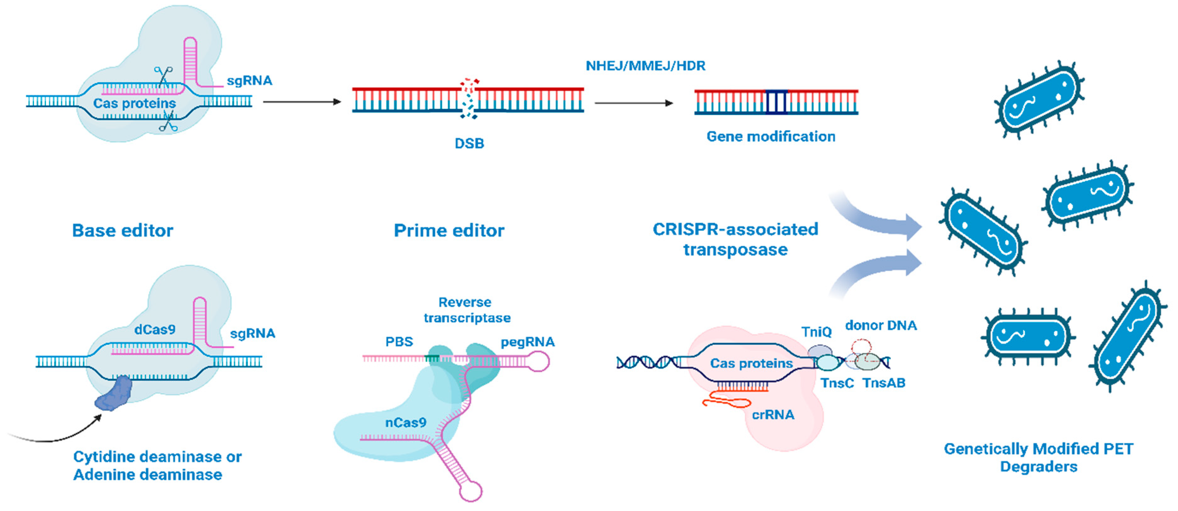 Biomolecules 15 00684 g001