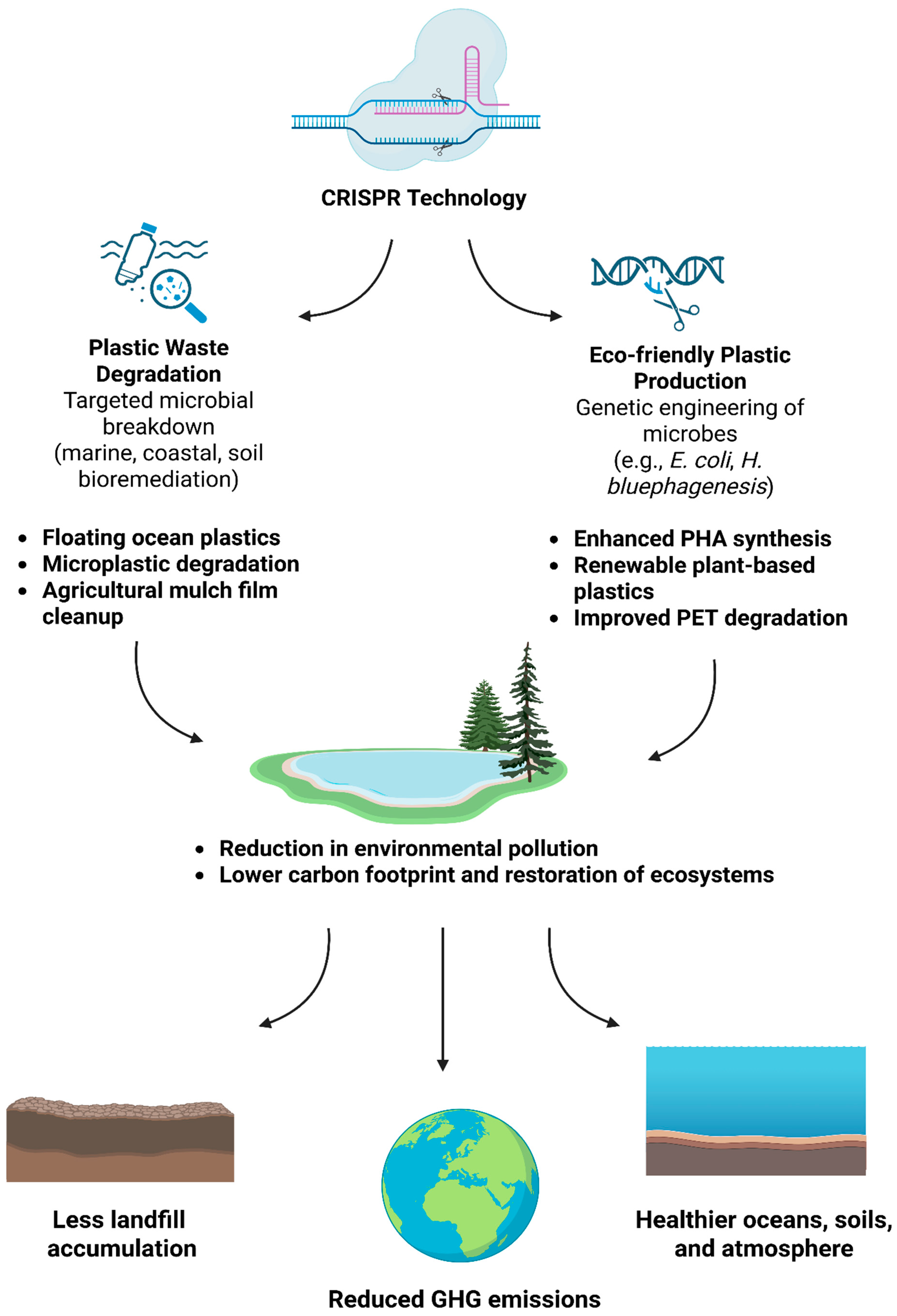 Biomolecules 15 00684 g003