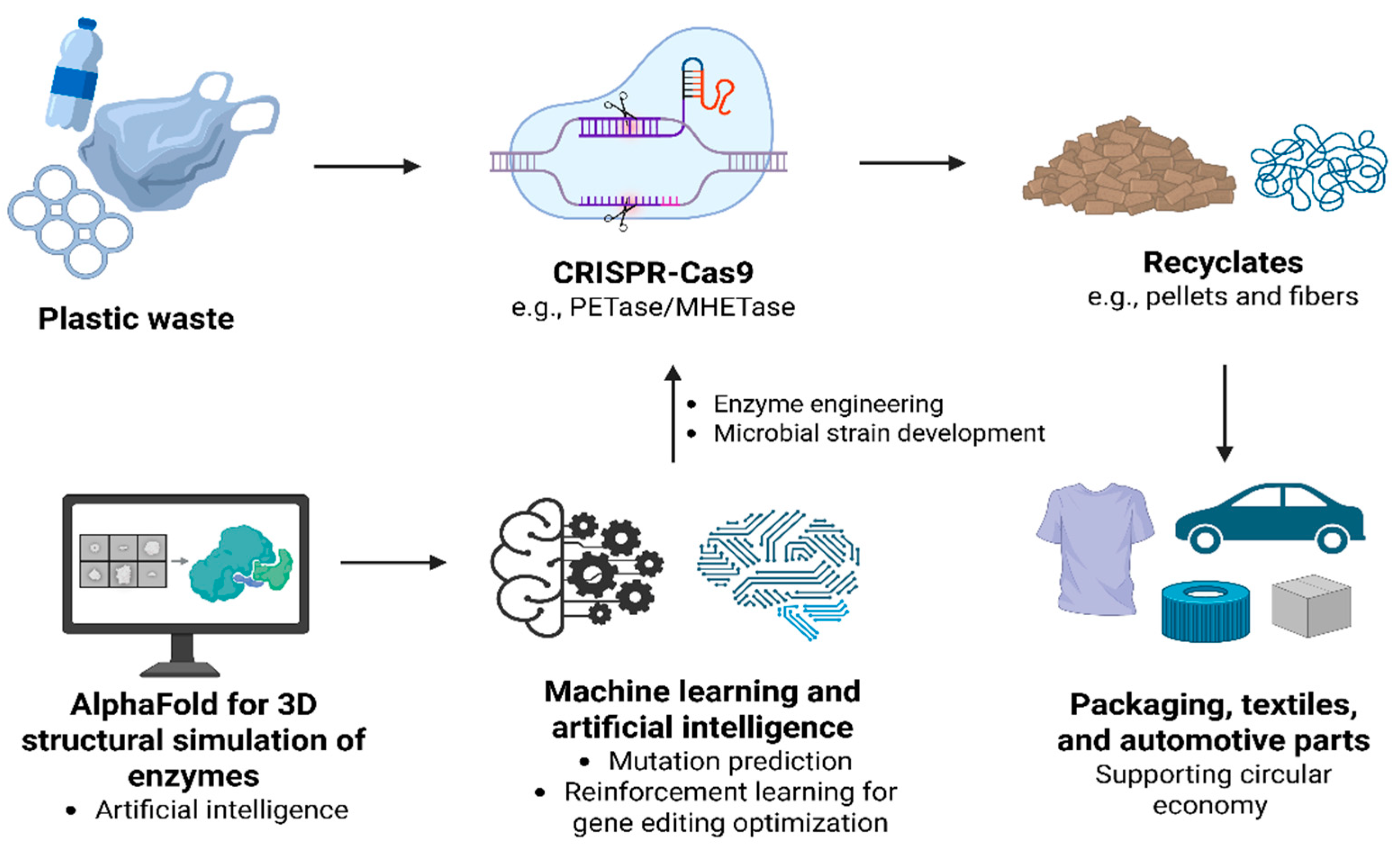Biomolecules 15 00684 g004