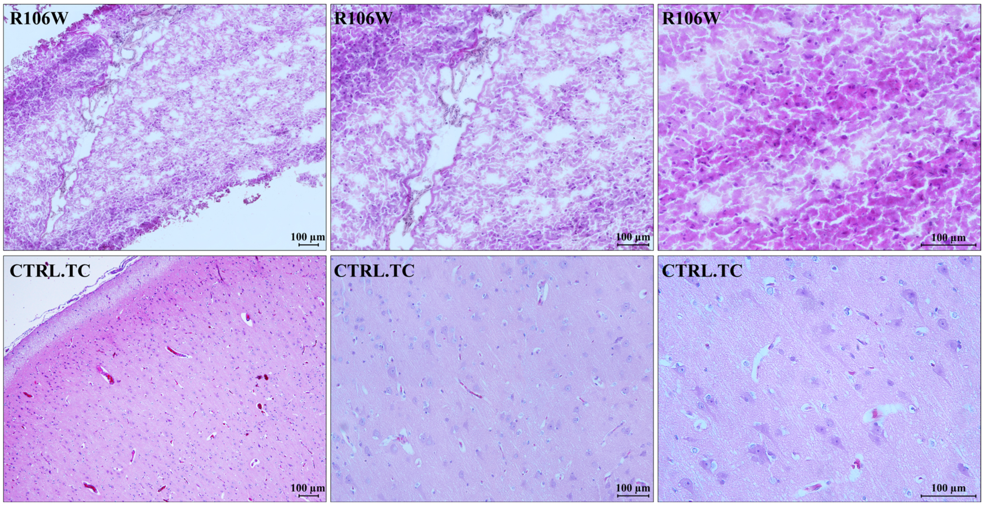 Biomolecules 15 00687 g003