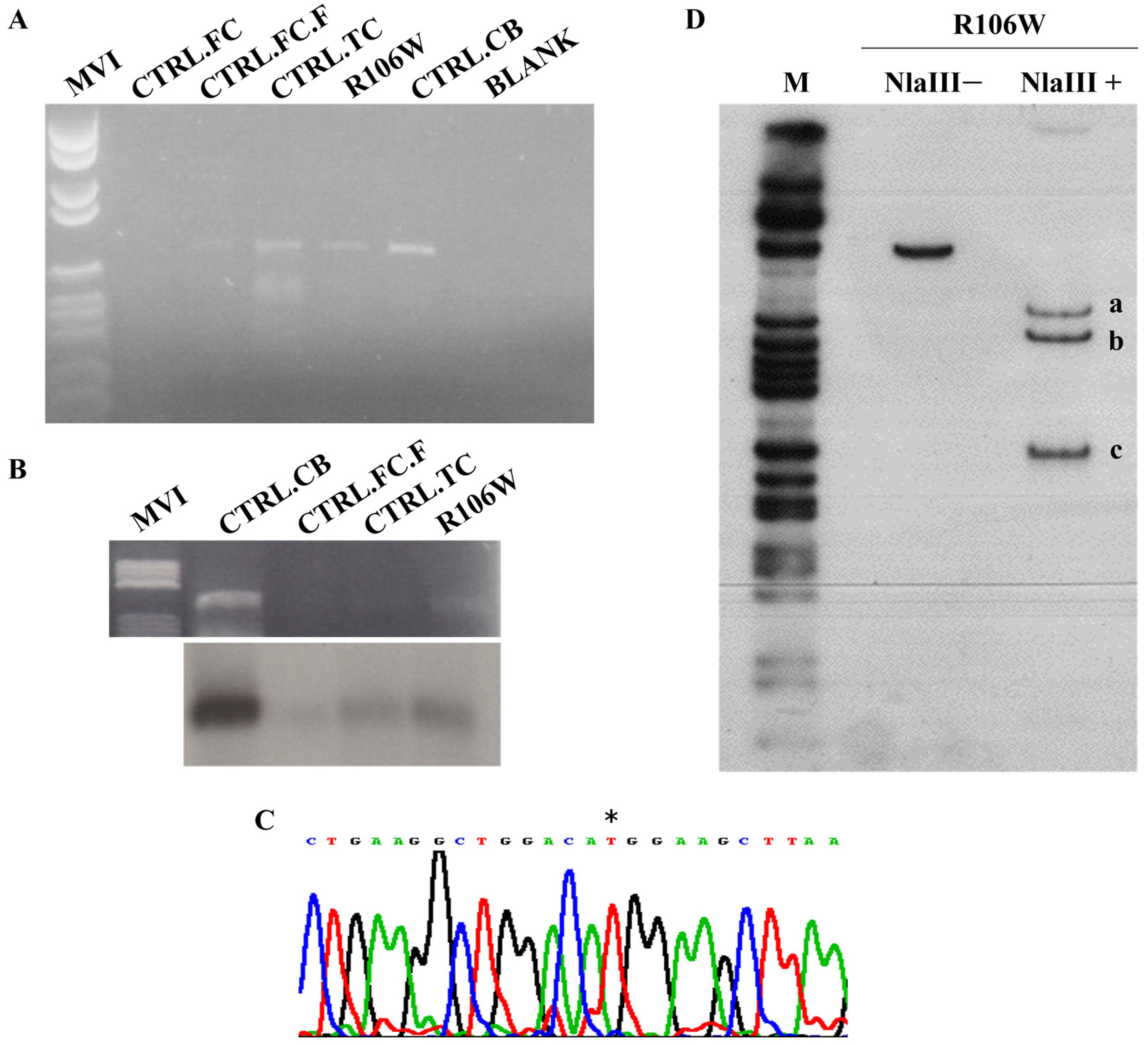 Biomolecules 15 00687 g005