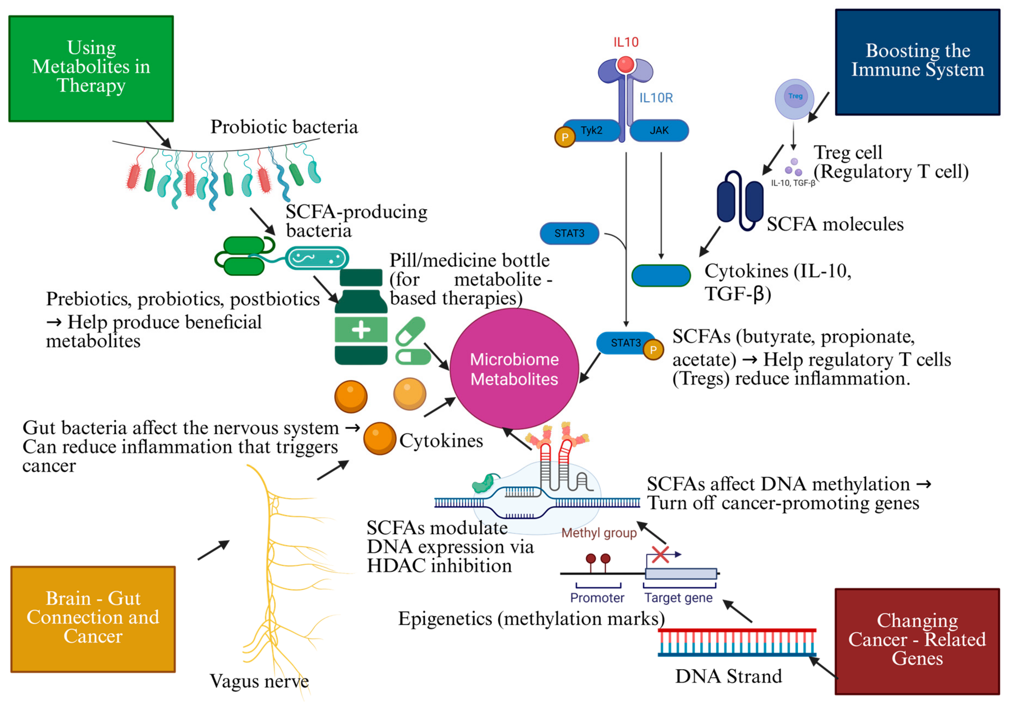 Biomolecules 15 00688 g001