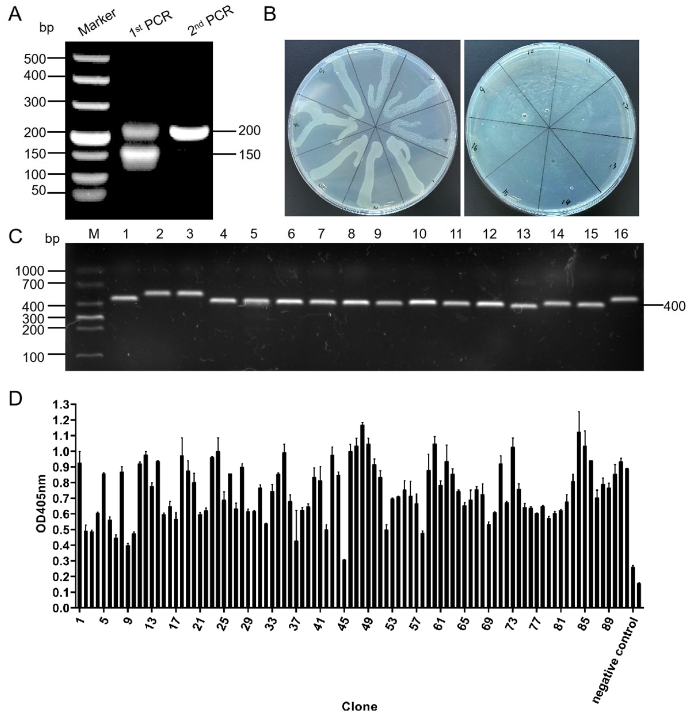 Biomolecules 15 00689 g001
