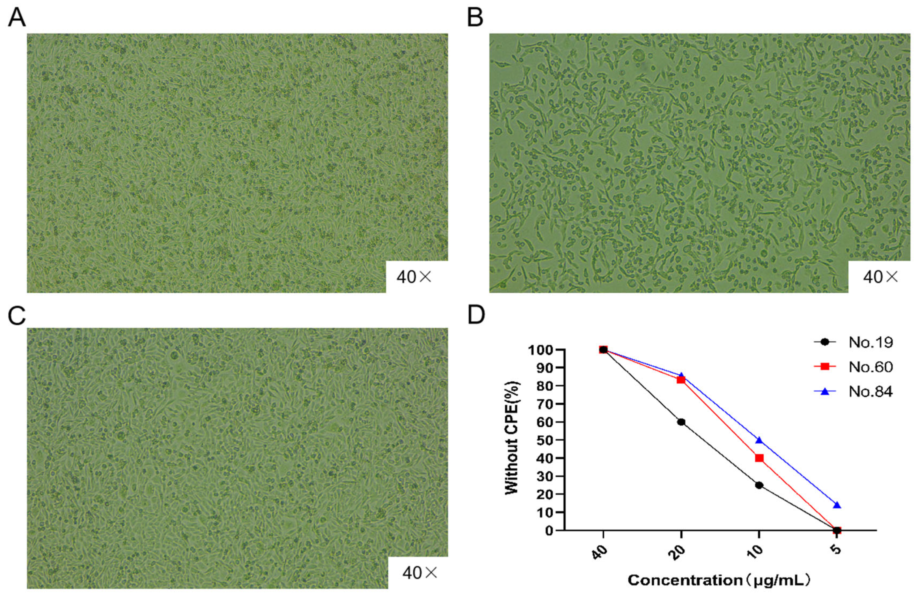 Biomolecules 15 00689 g003
