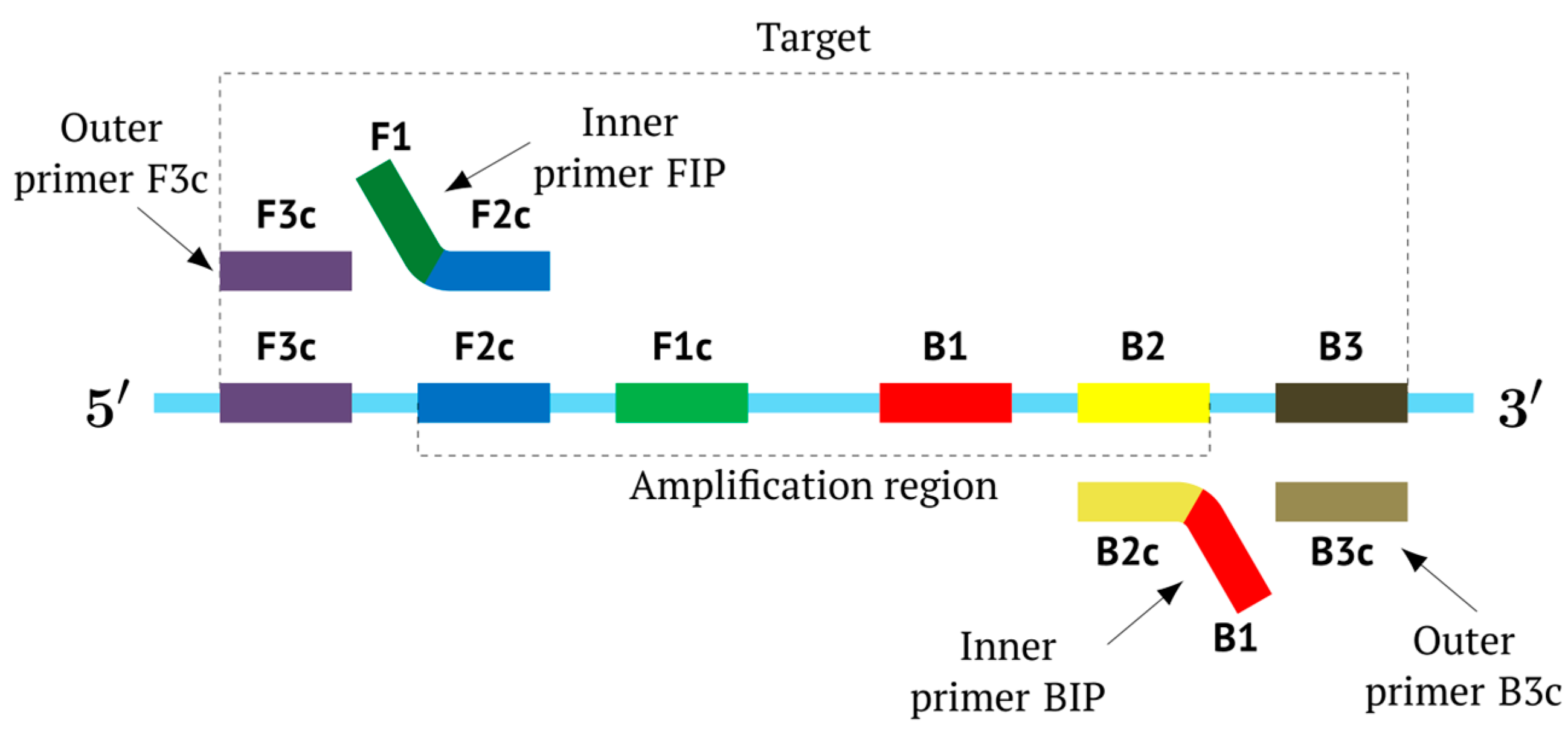 Biomolecules 15 00690 g001