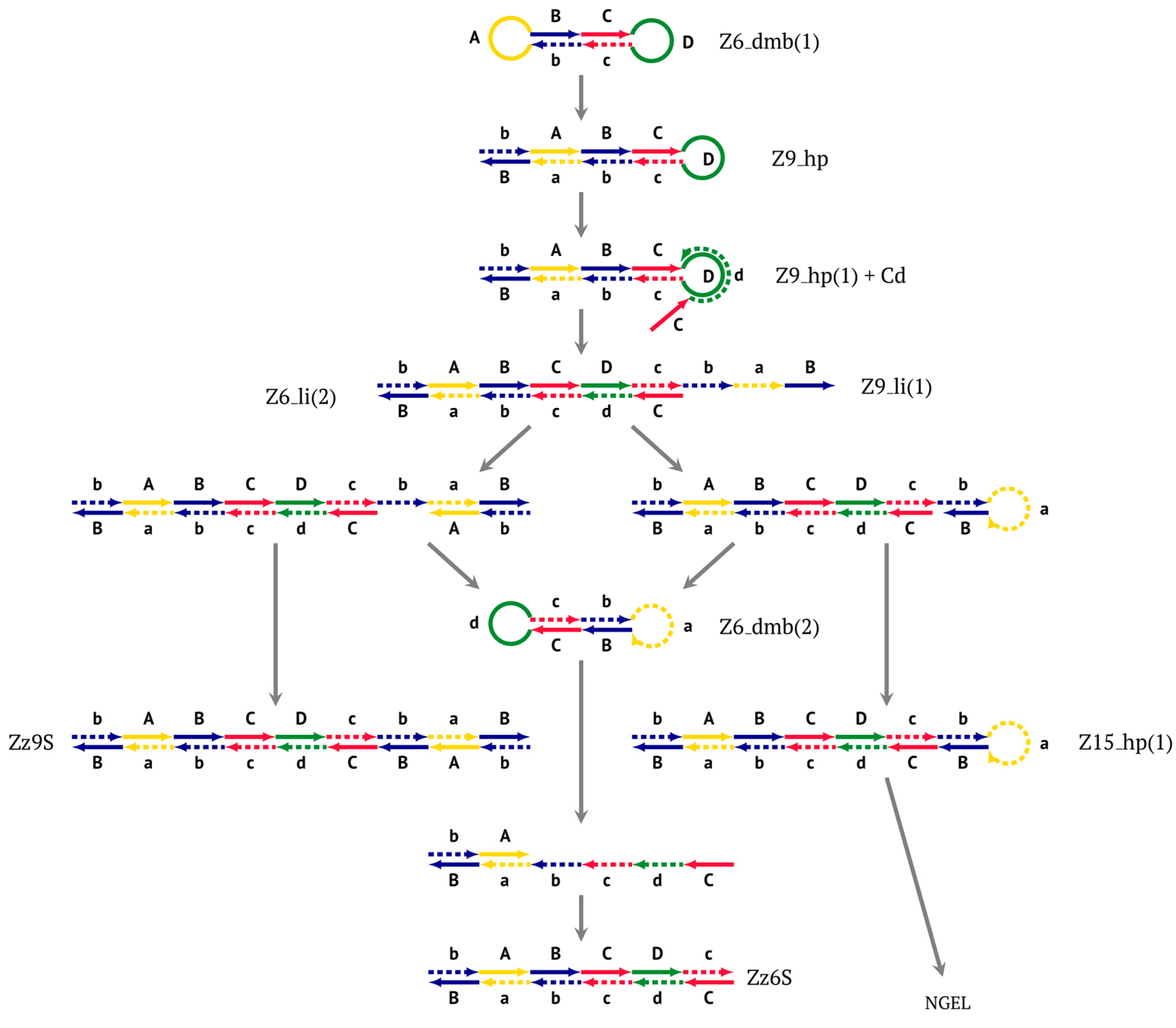 Biomolecules 15 00690 g004
