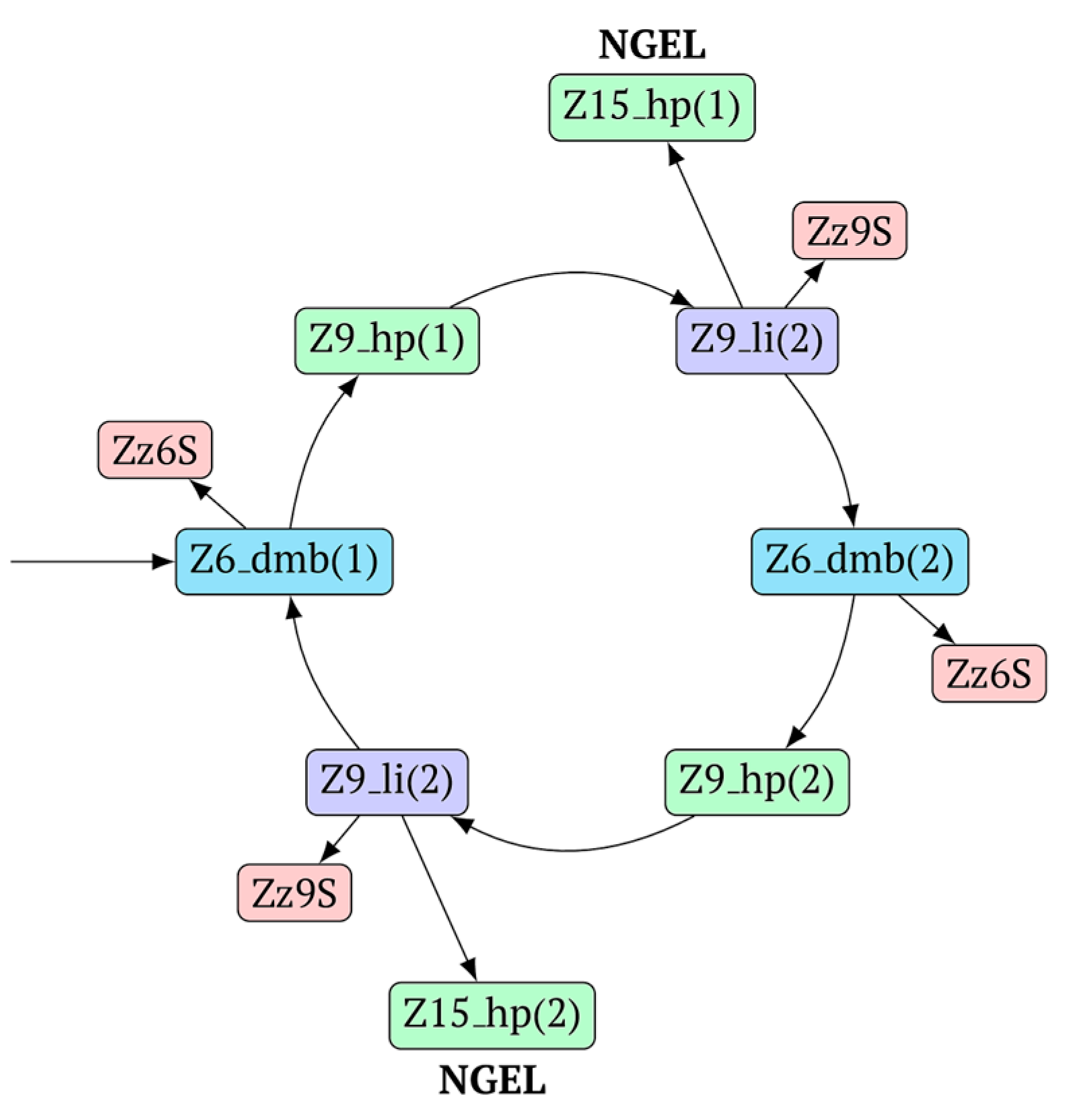 Biomolecules 15 00690 g005