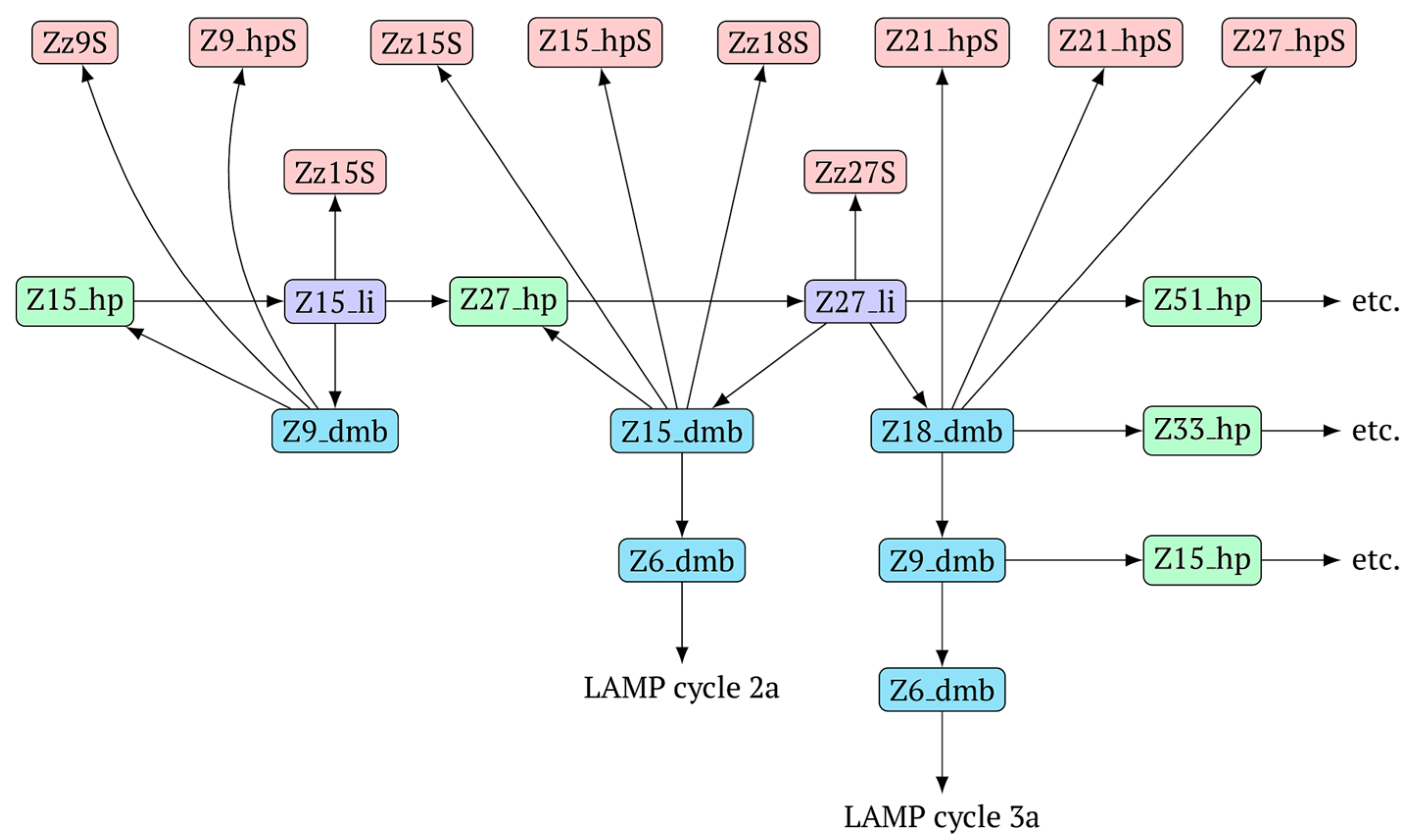 Biomolecules 15 00690 g006