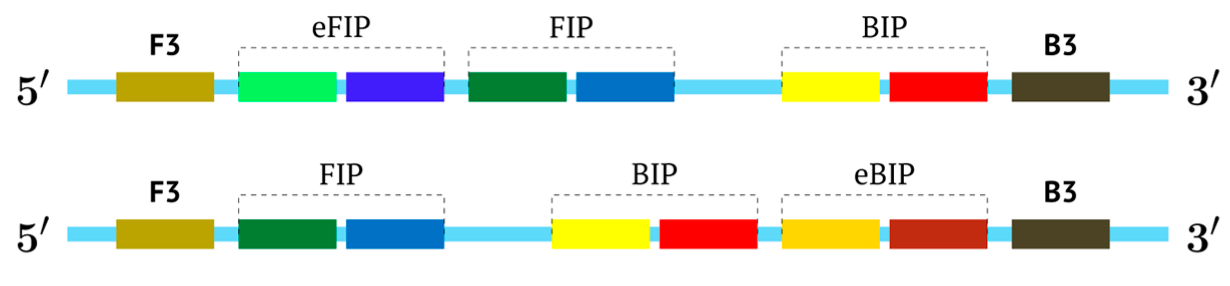 Biomolecules 15 00690 g008