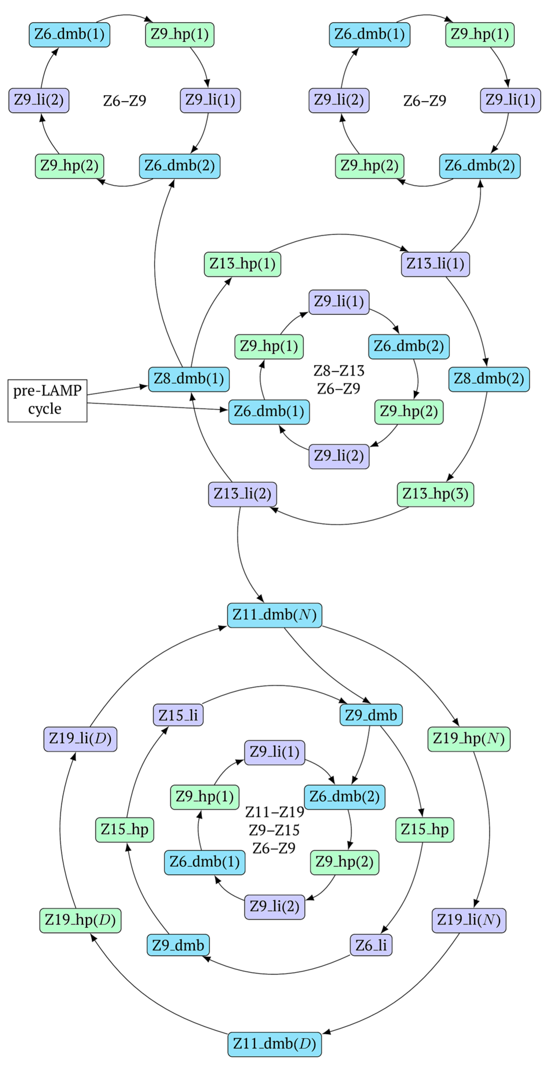 Biomolecules 15 00690 g010
