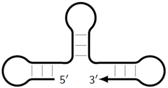 Biomolecules 15 00690 i009