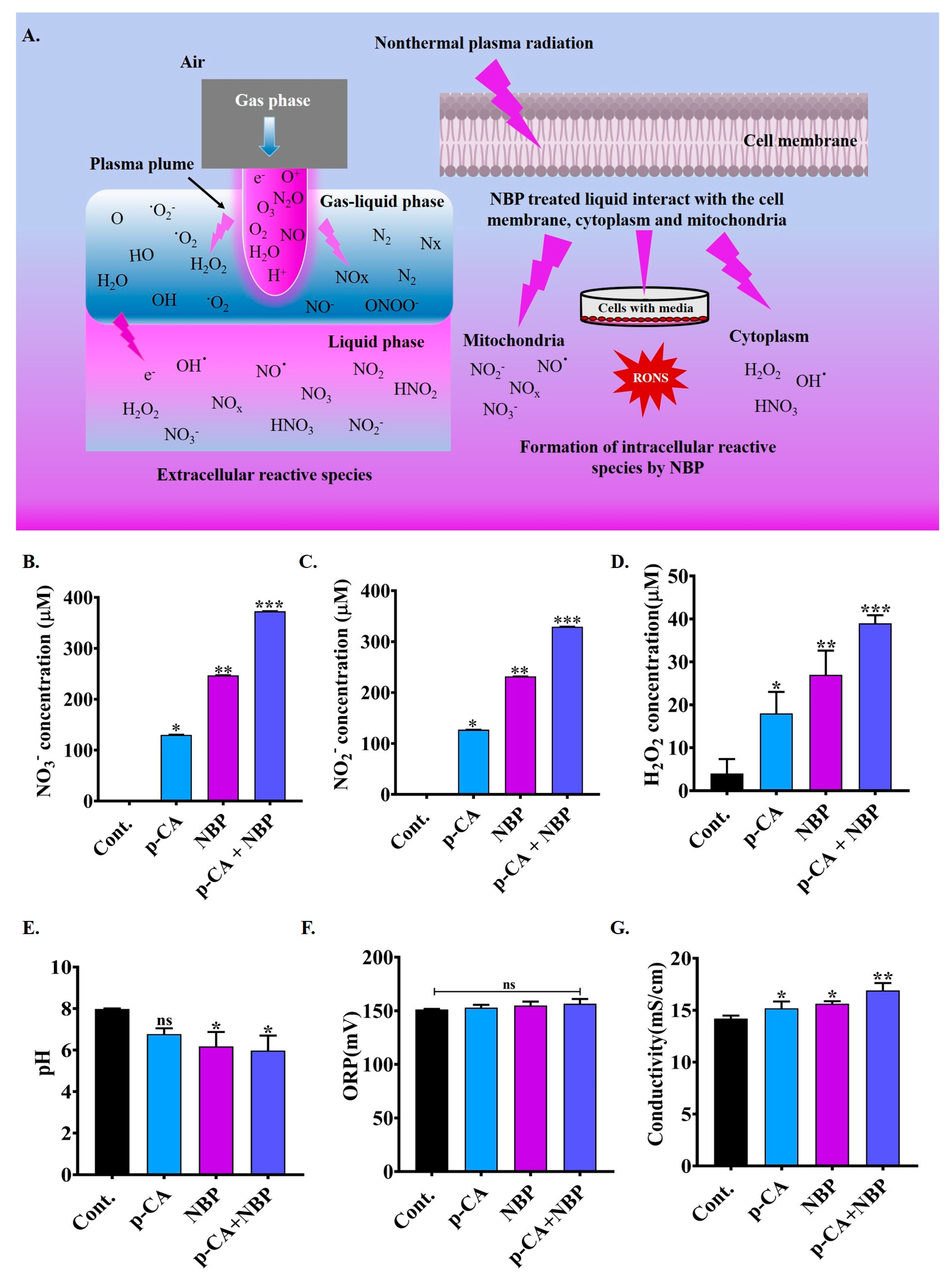 Biomolecules 15 00691 g003 Biomolecules 15 00691 g003
