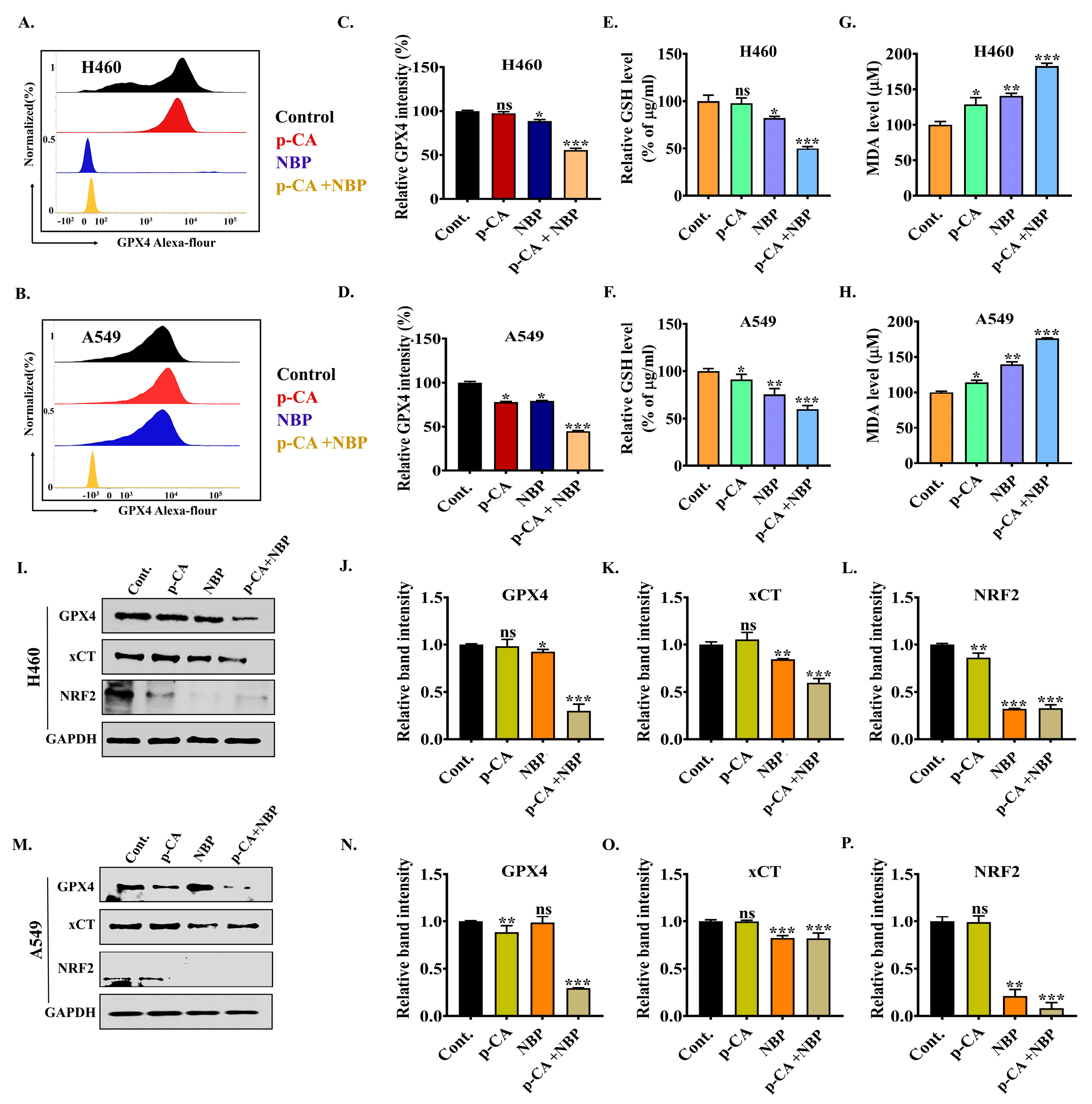 Biomolecules 15 00691 g007 Biomolecules 15 00691 g007
