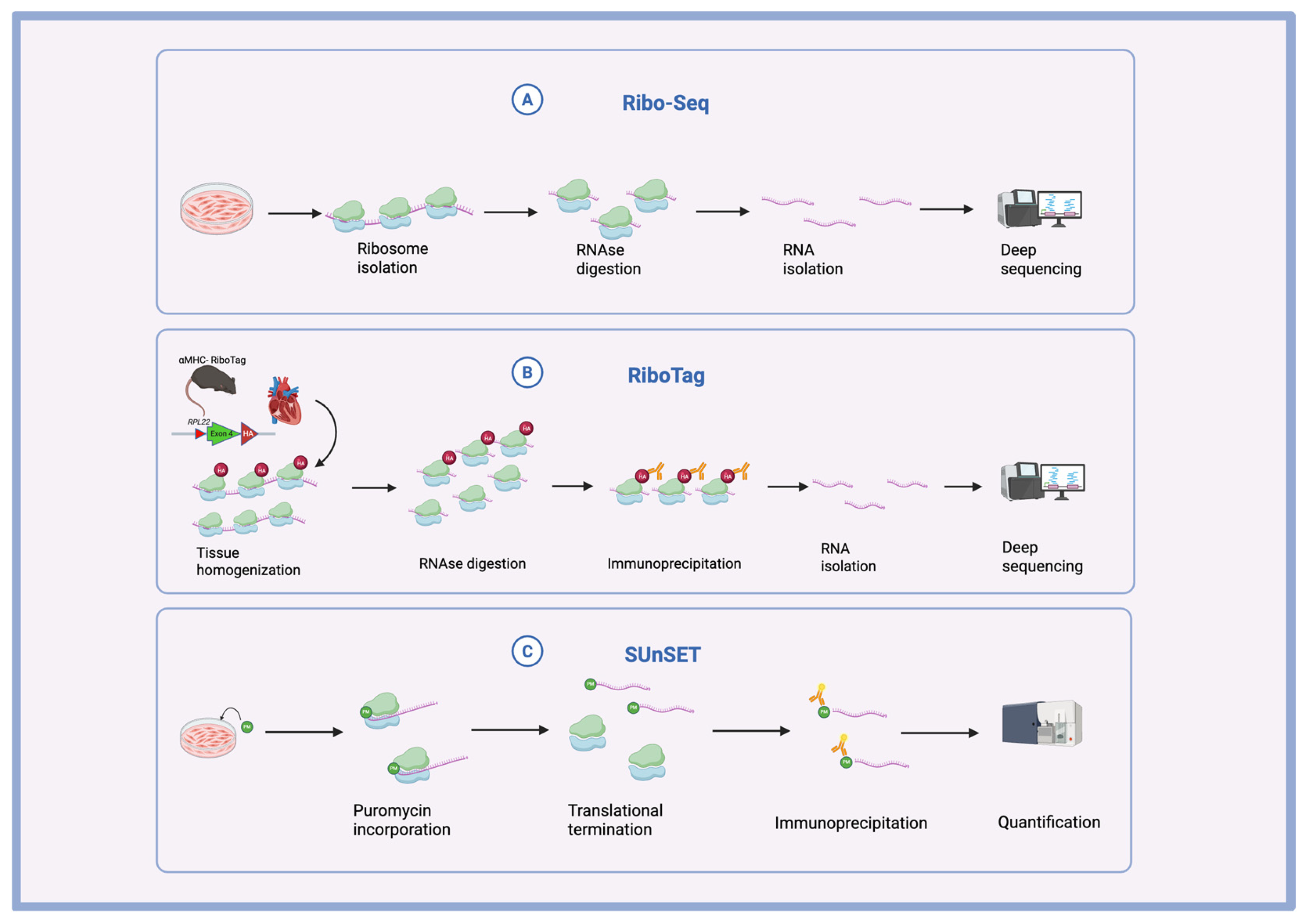 Biomolecules 15 00692 g001 Biomolecules 15 00692 g001