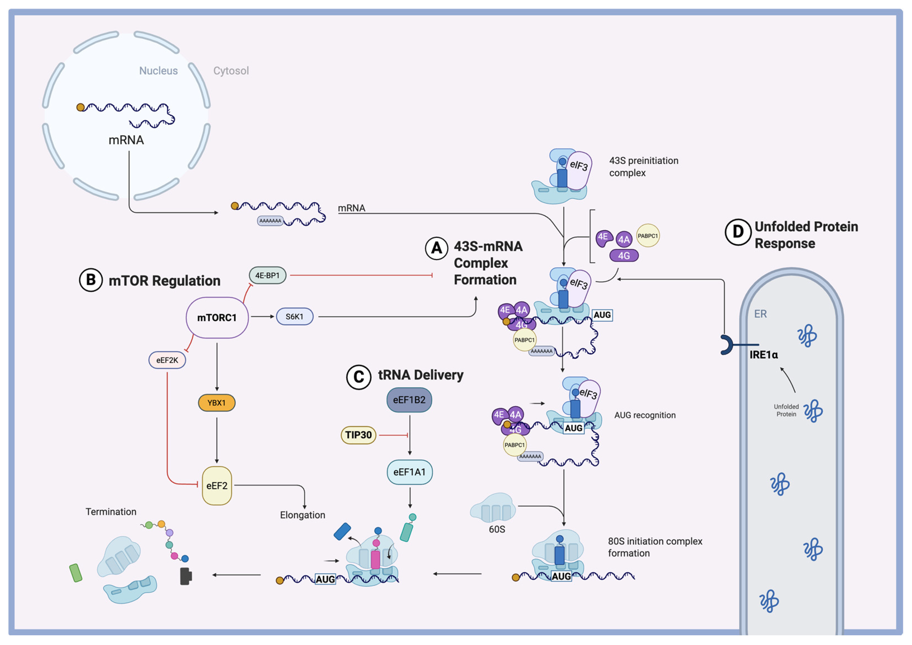 Biomolecules 15 00692 g002 Biomolecules 15 00692 g002