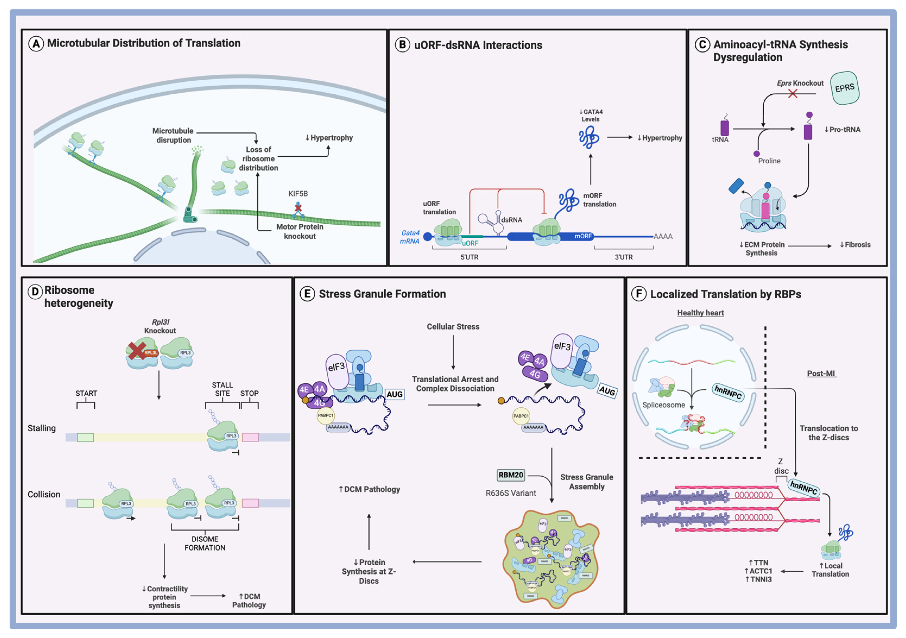 Biomolecules 15 00692 g003 Biomolecules 15 00692 g003
