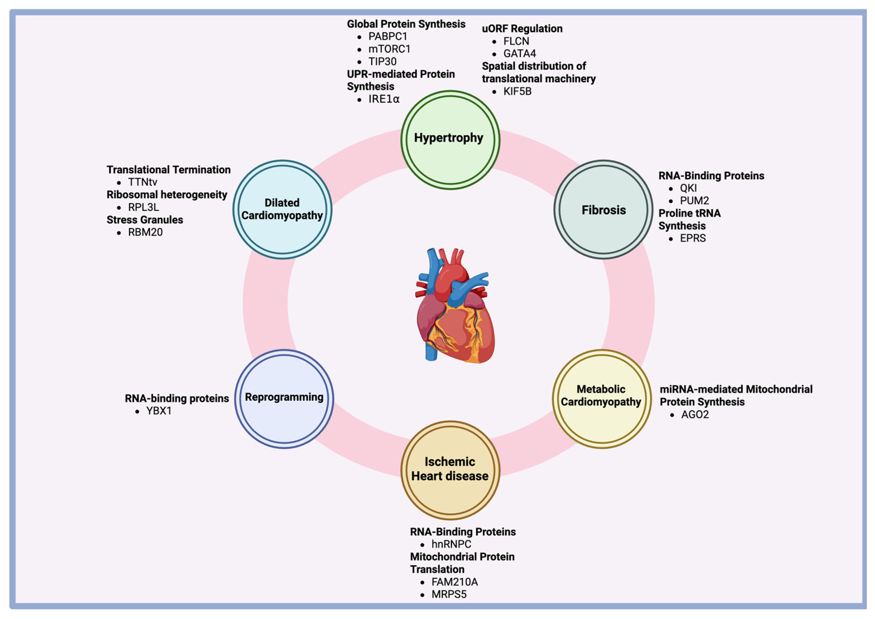 Biomolecules 15 00692 g005 Biomolecules 15 00692 g005