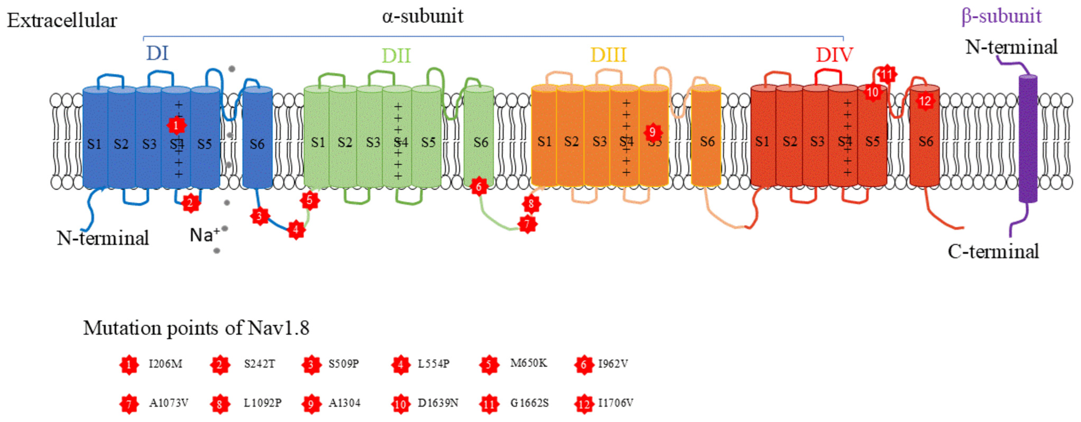 Biomolecules 15 00694 g001