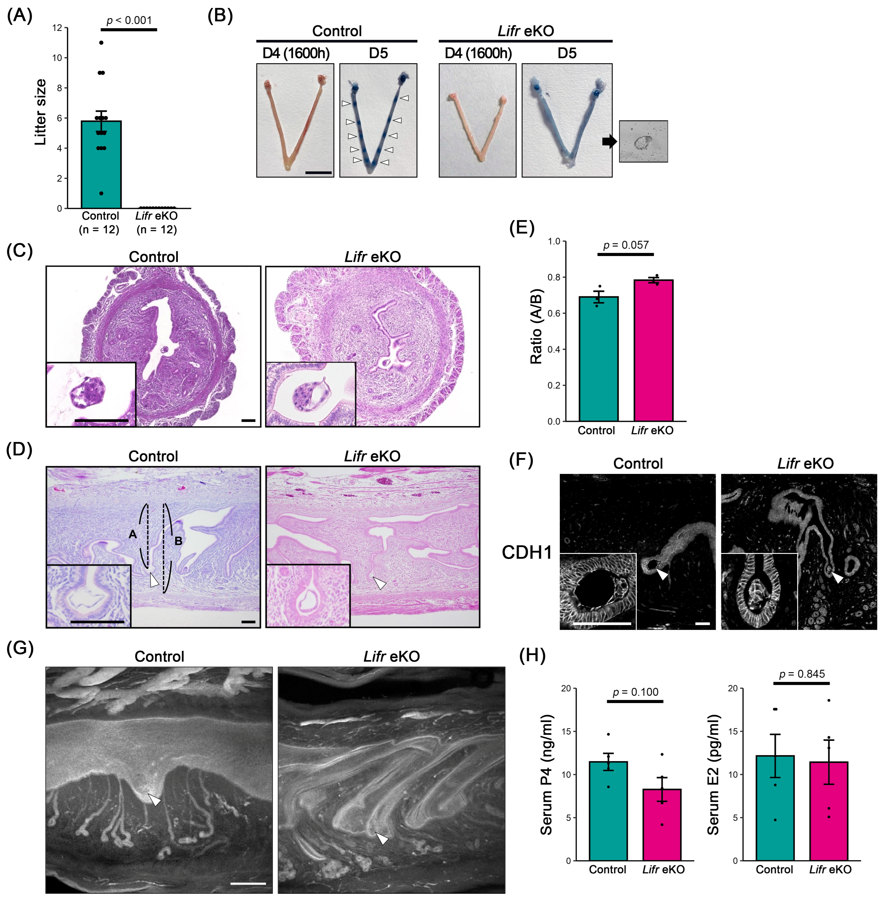 Biomolecules 15 00698 g001