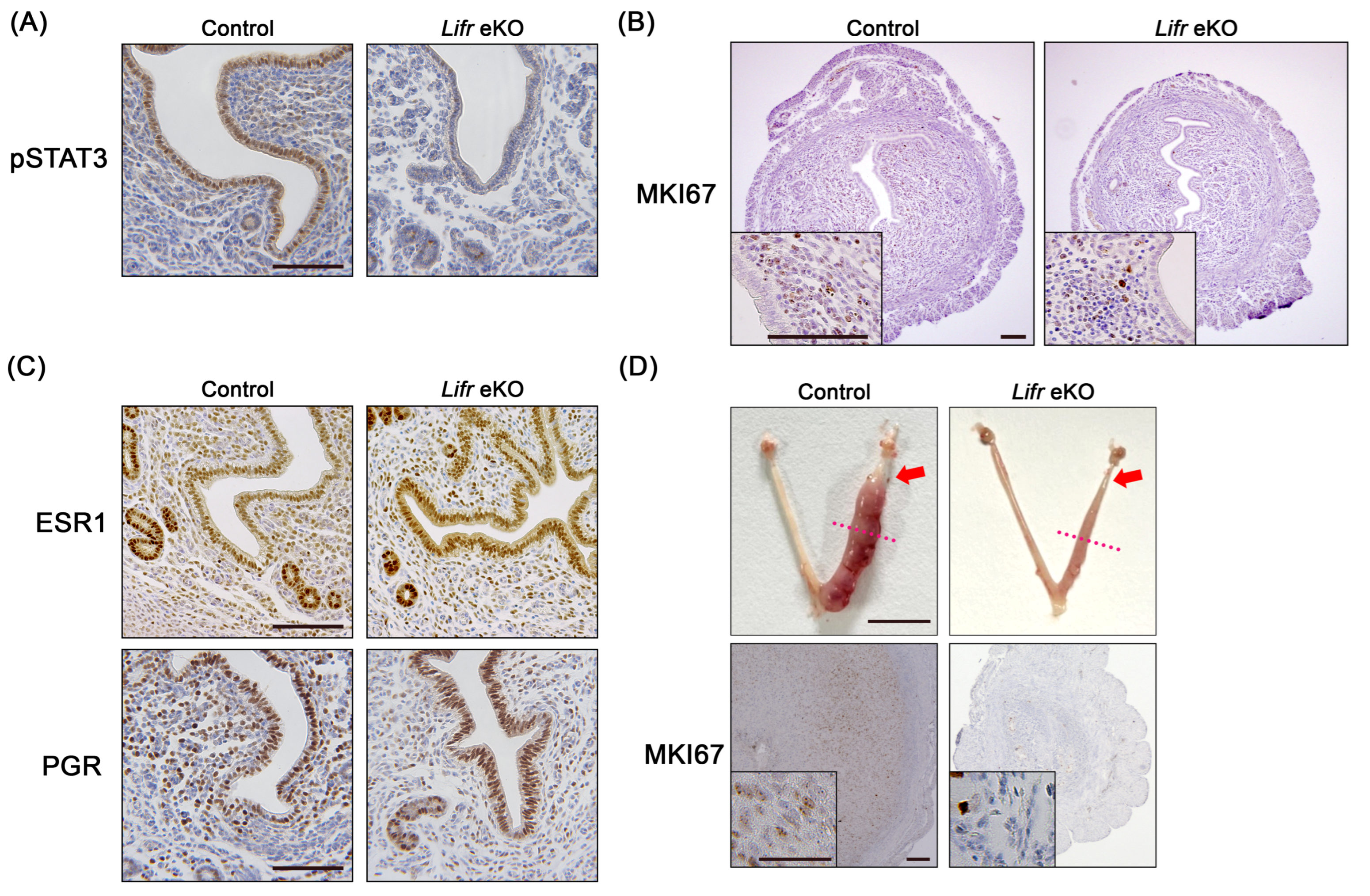 Biomolecules 15 00698 g002