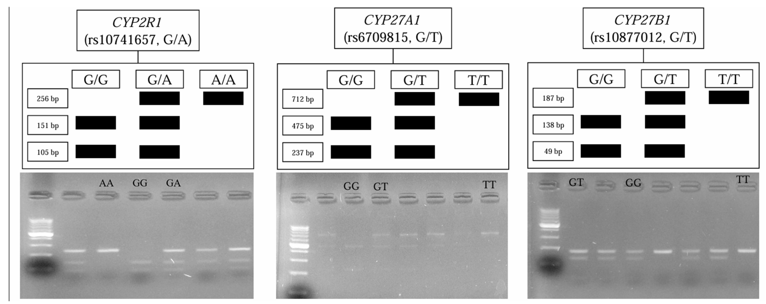 Biomolecules 15 00699 g002