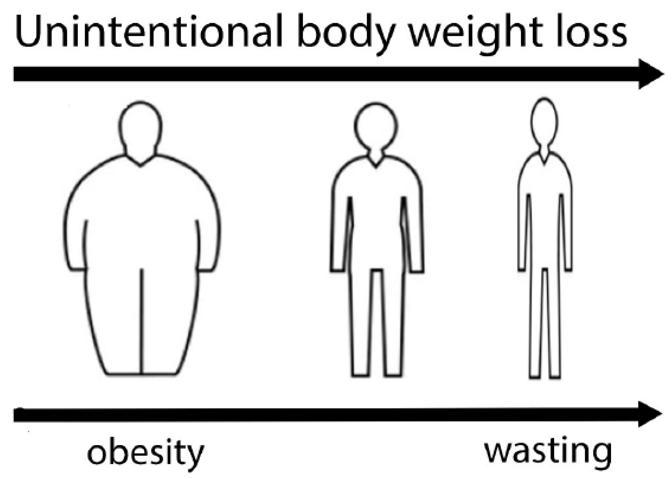 Biomolecules 15 00703 g001
