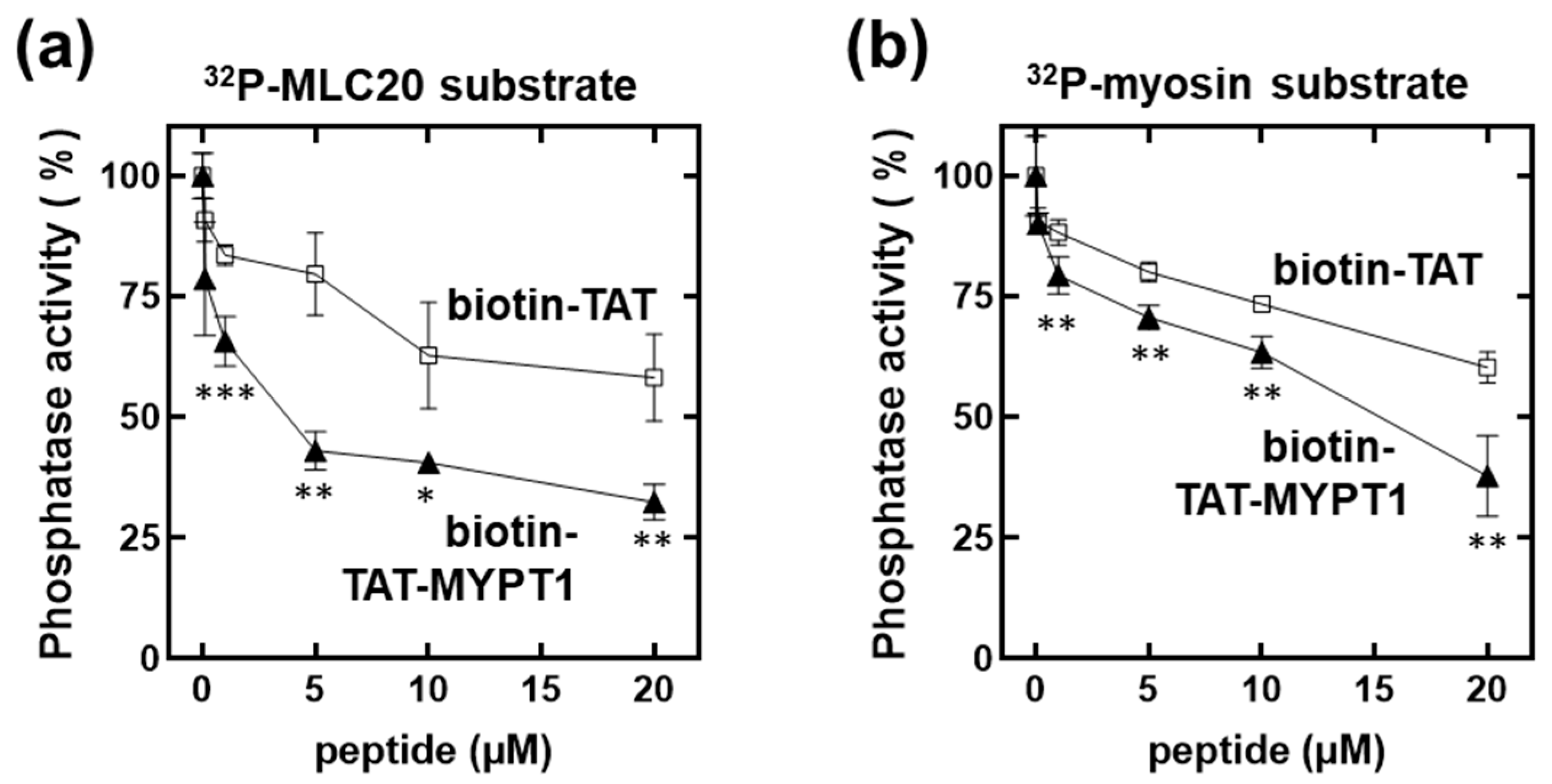 Biomolecules 15 00705 g002