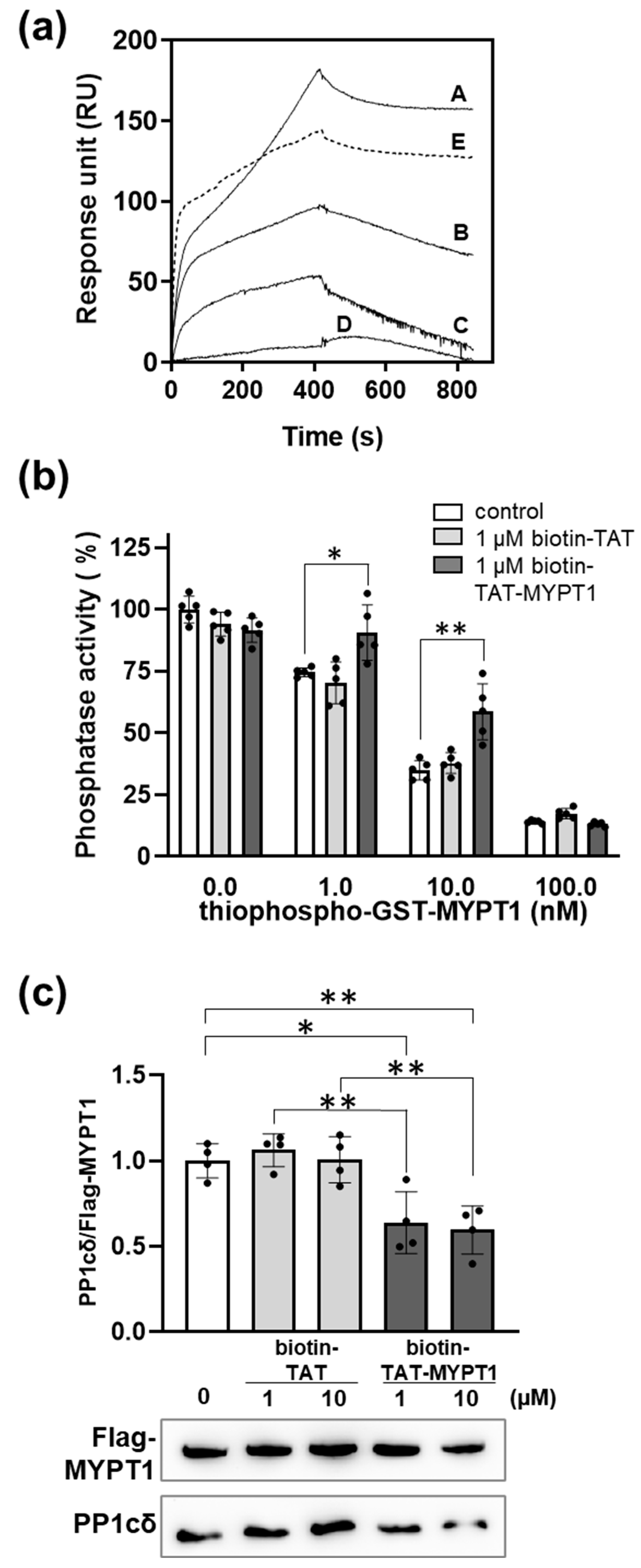 Biomolecules 15 00705 g004