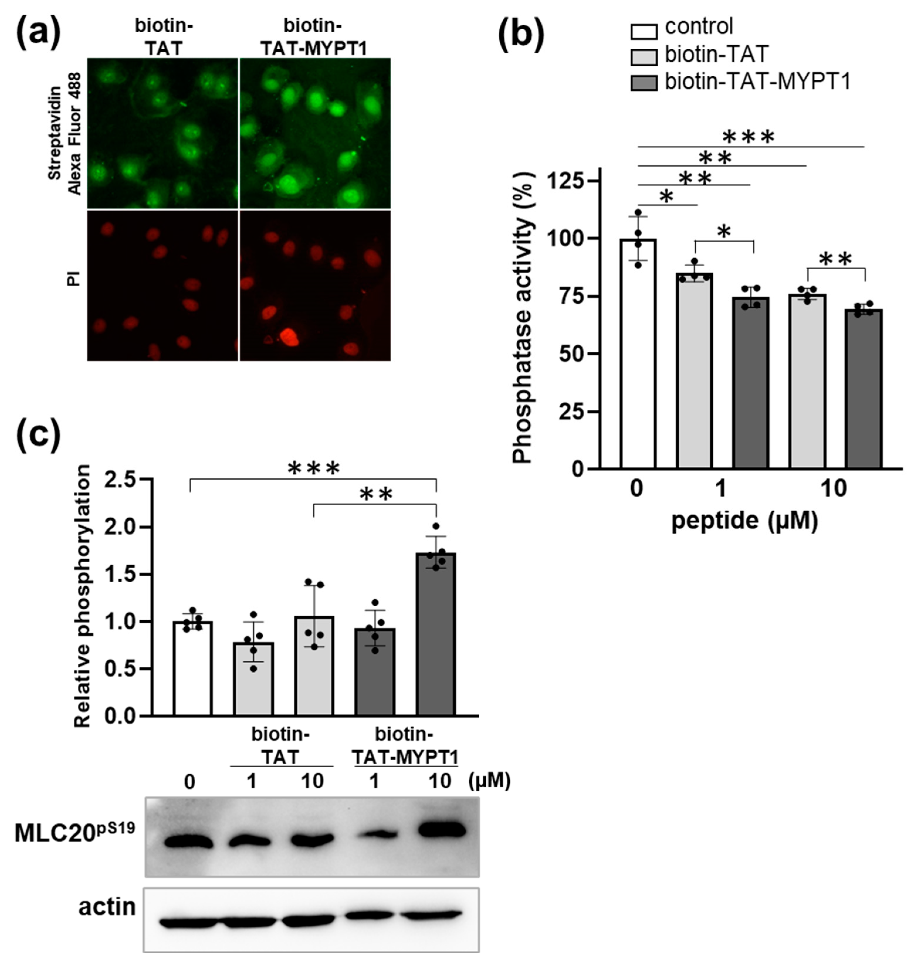 Biomolecules 15 00705 g005