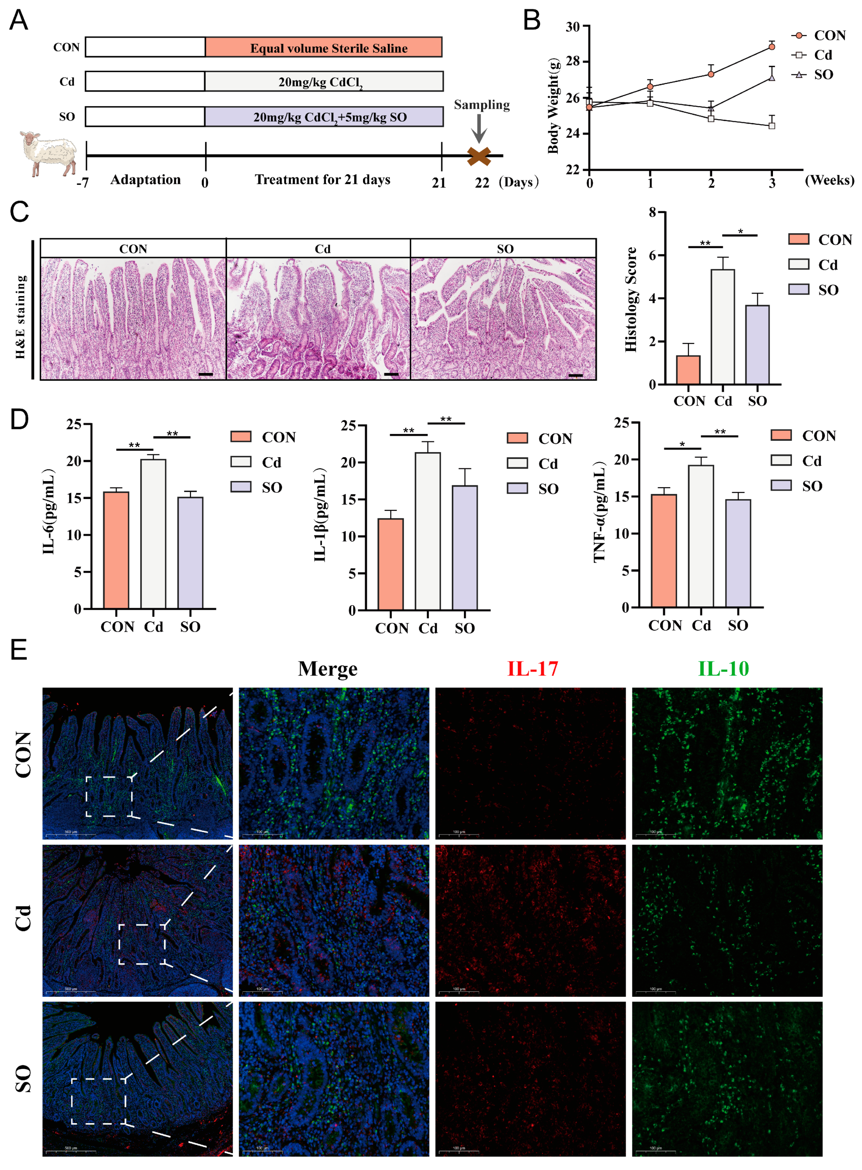 Biomolecules 15 00707 g001