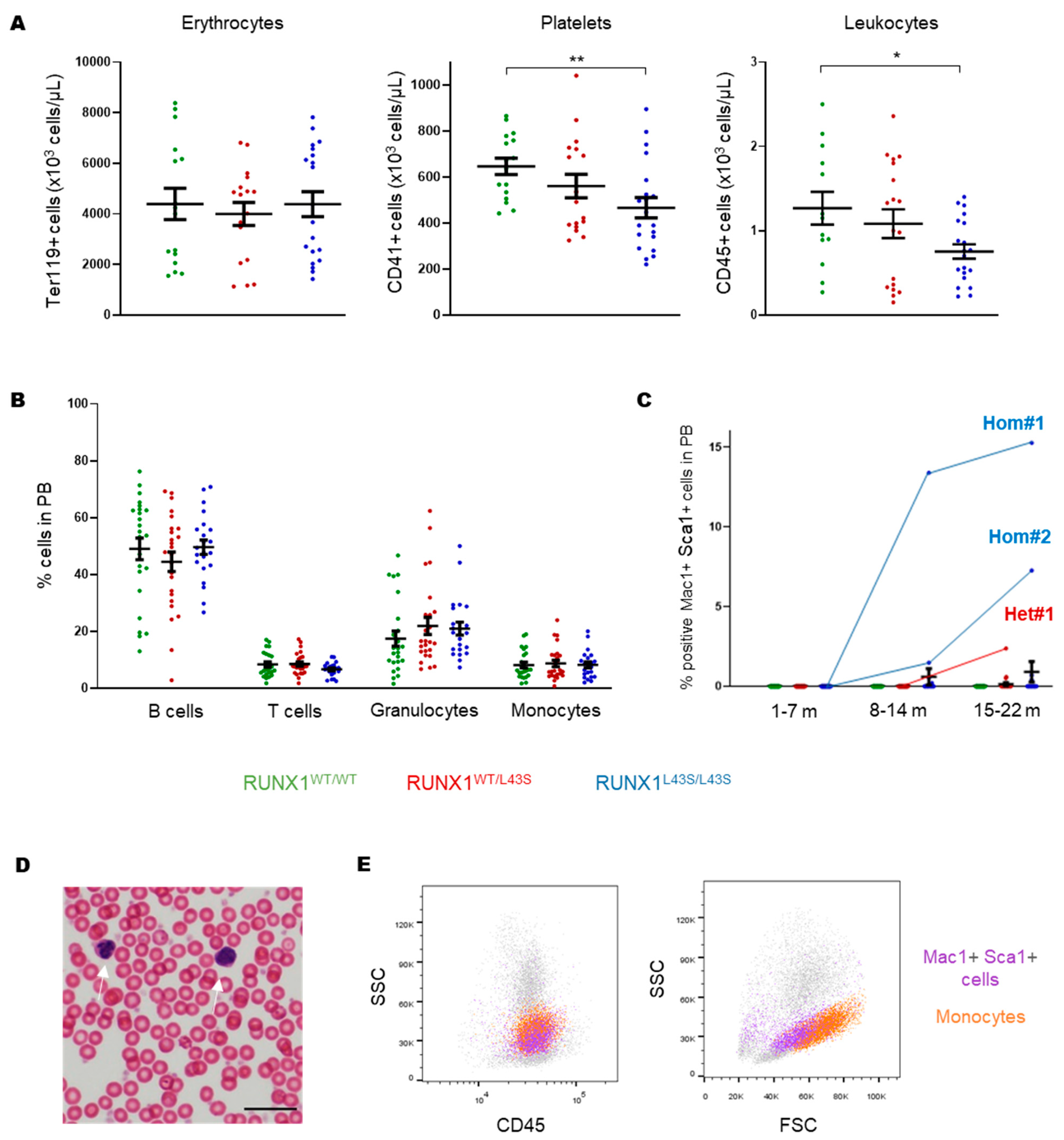 Biomolecules 15 00708 g001