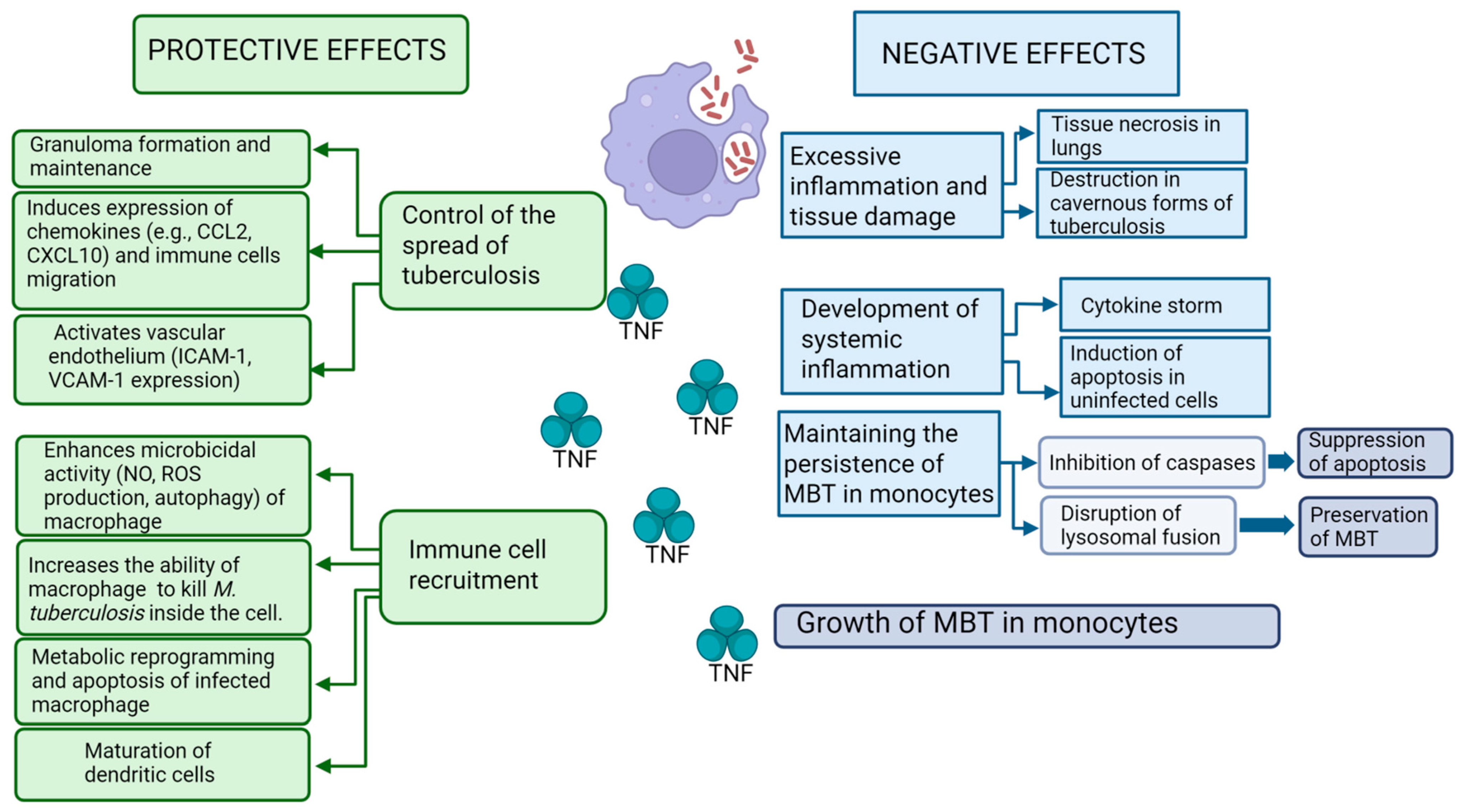 Biomolecules 15 00709 g001 Biomolecules 15 00709 g001