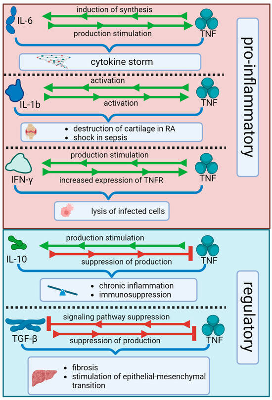Role of Tumor Necrosis Factor in Tuberculosis