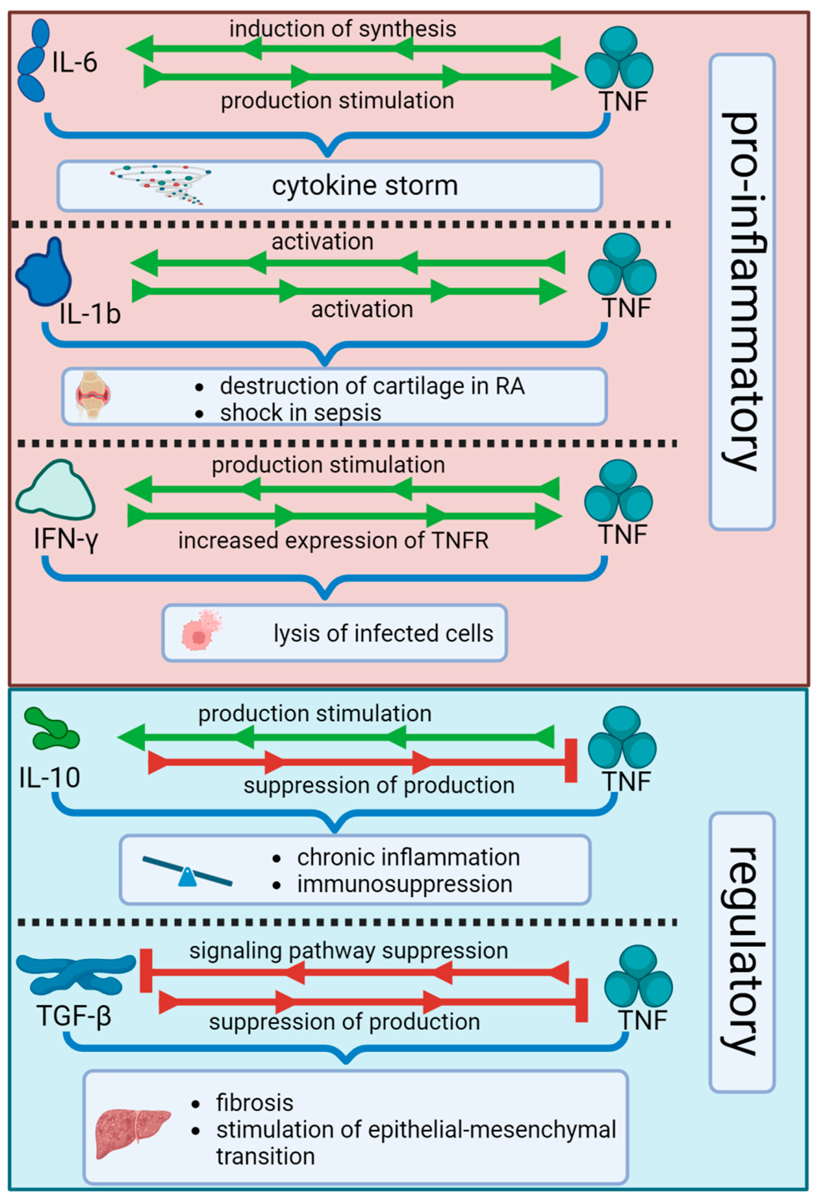 Biomolecules 15 00709 g003 Biomolecules 15 00709 g003
