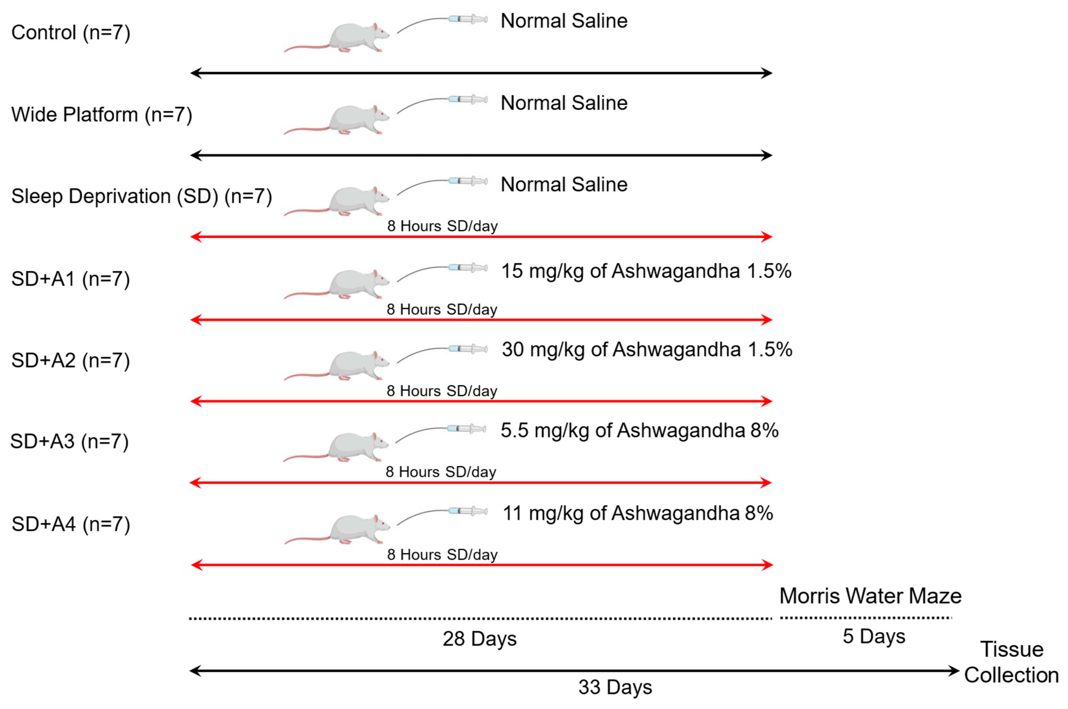 Biomolecules 15 00710 g001