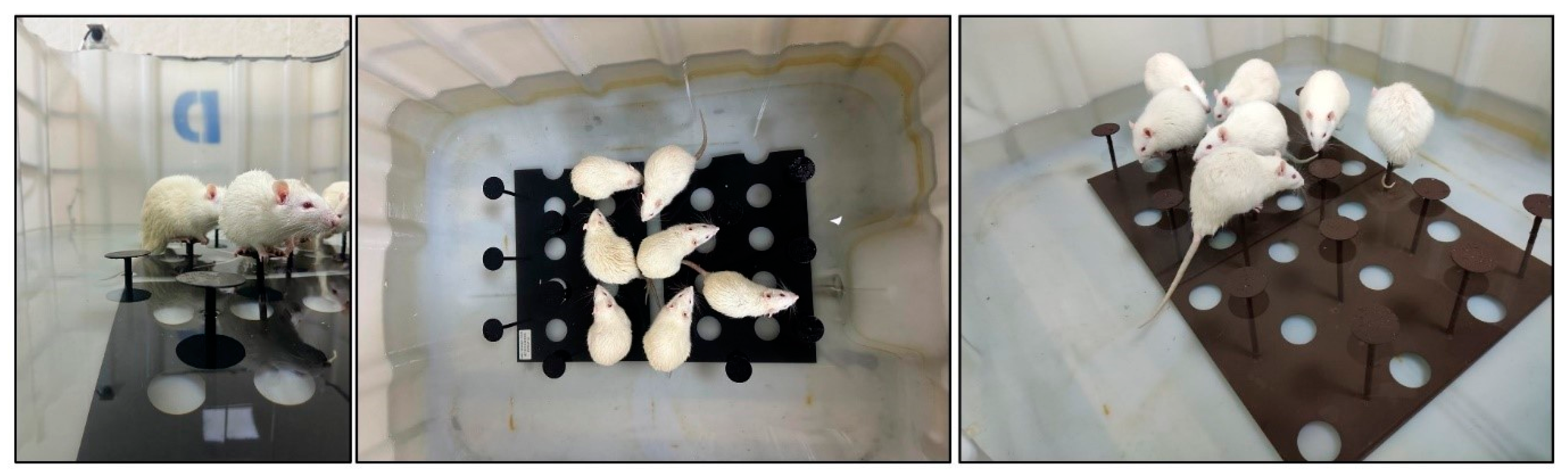 Biomolecules 15 00710 g002