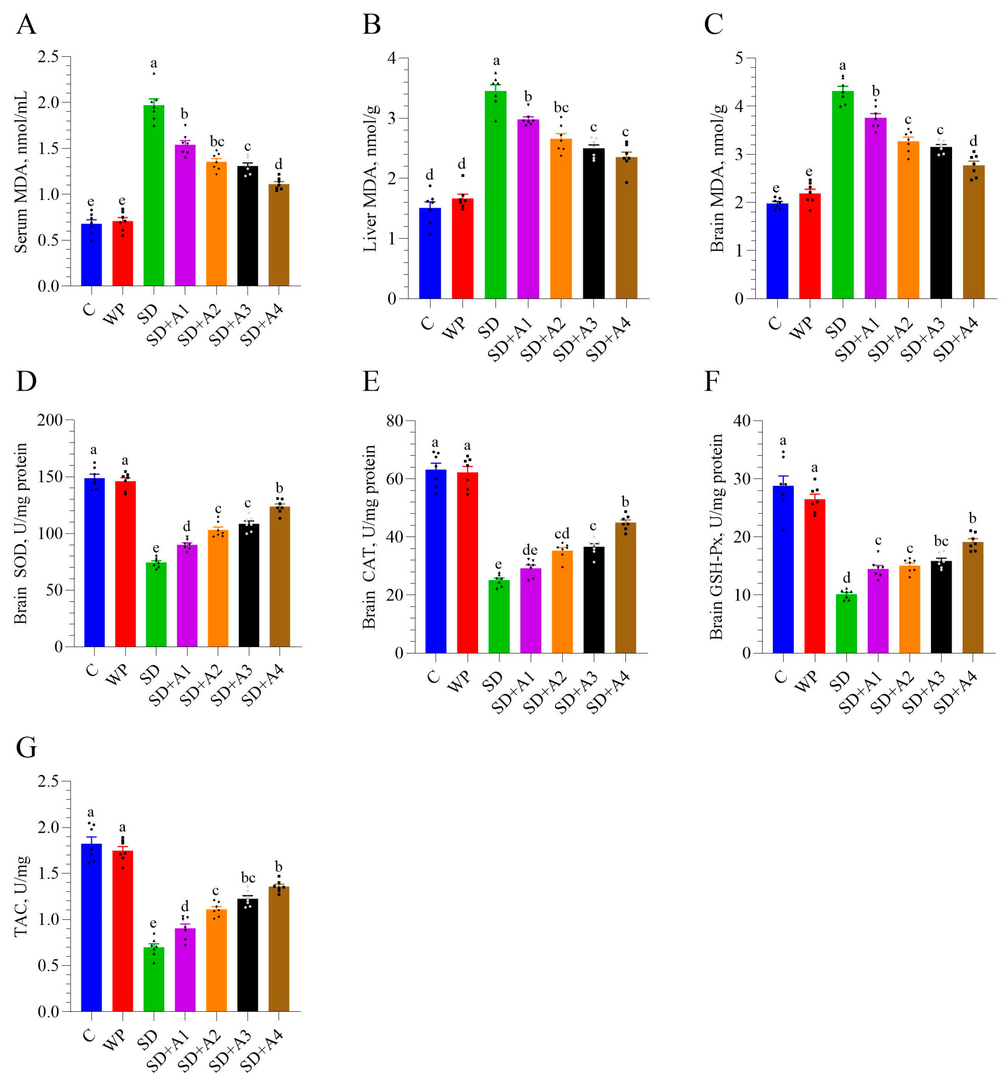 Biomolecules 15 00710 g004