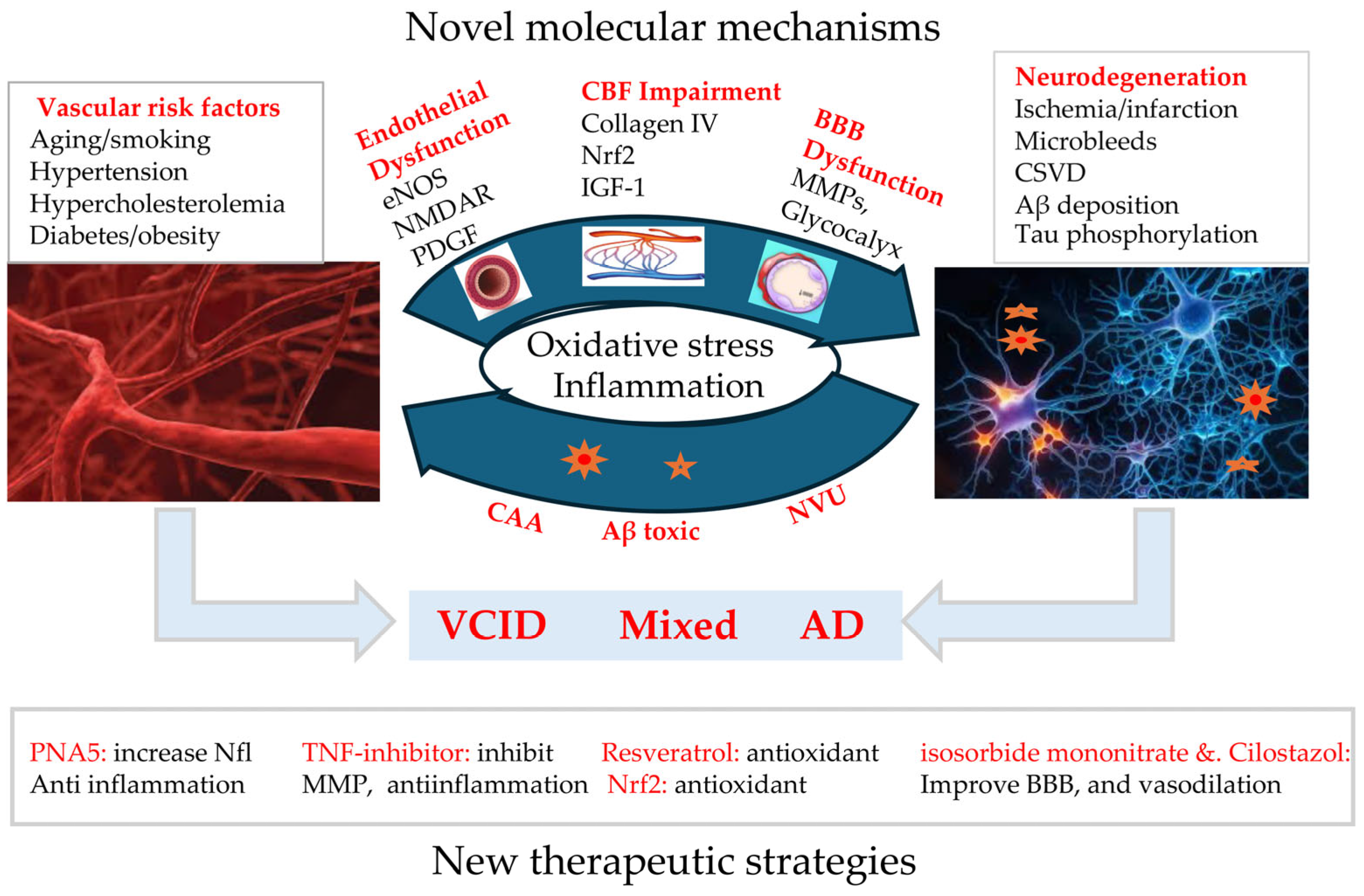 Biomolecules 15 00712 g001