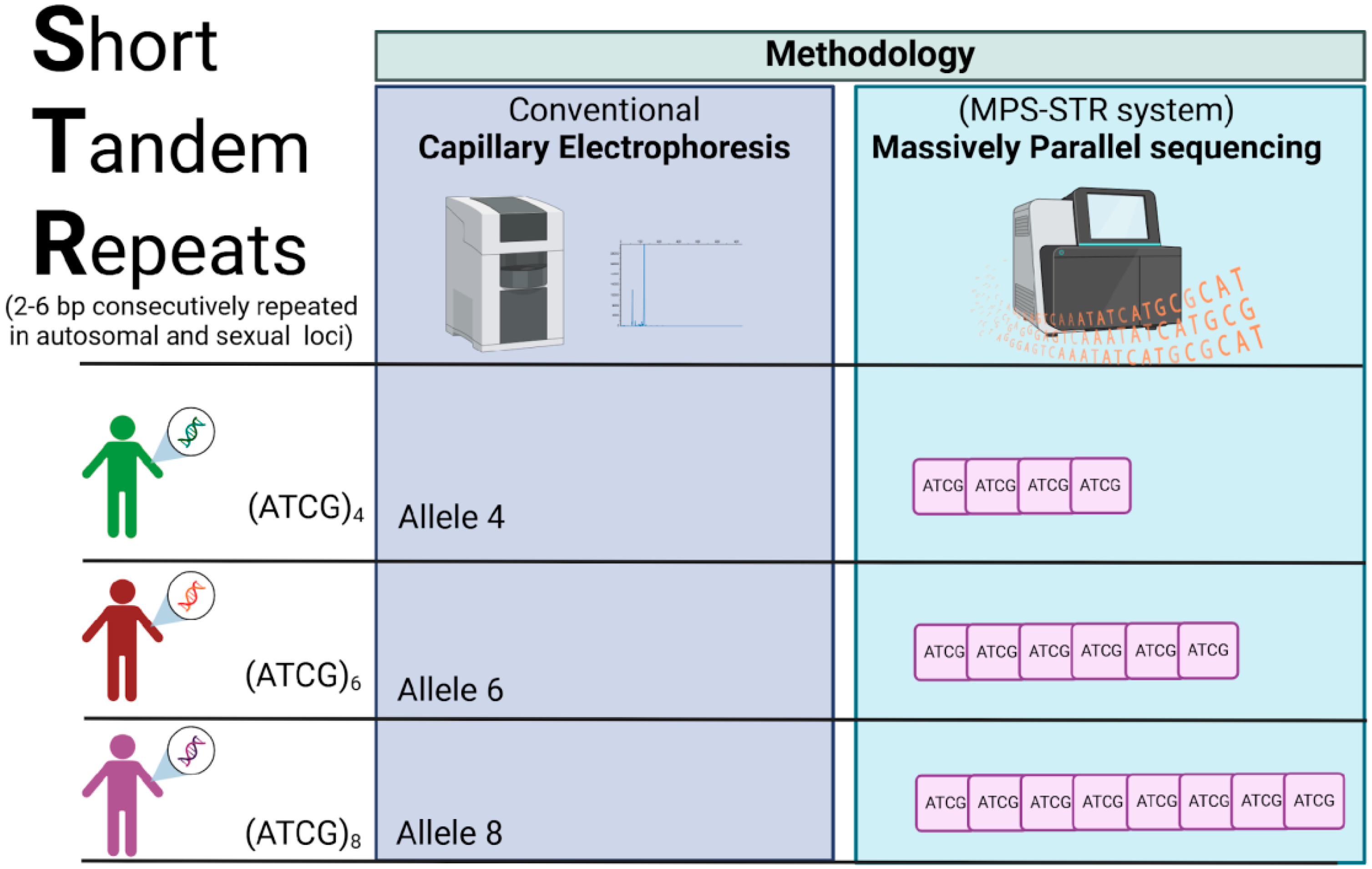 Biomolecules 15 00713 g002