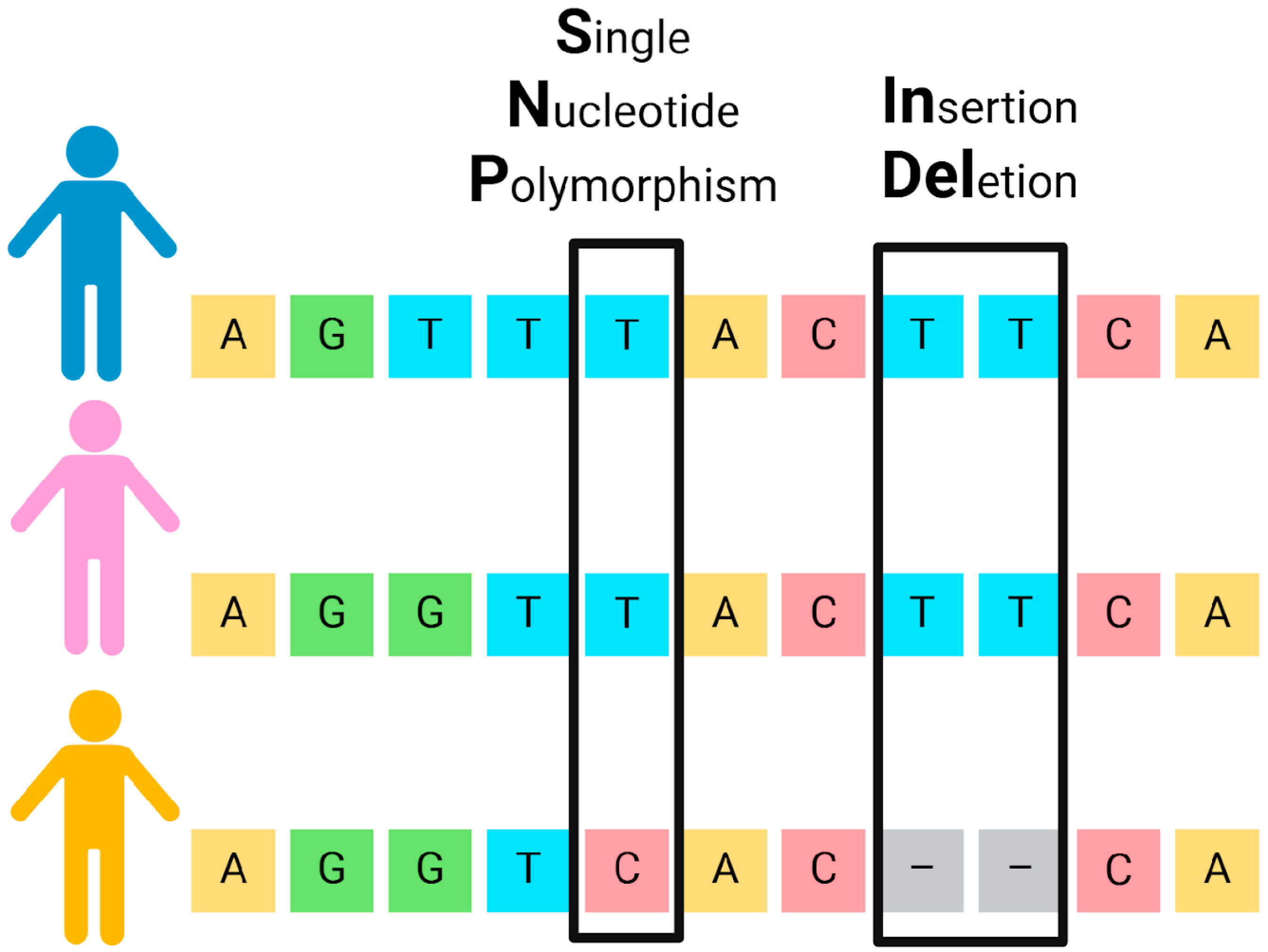 Biomolecules 15 00713 g003