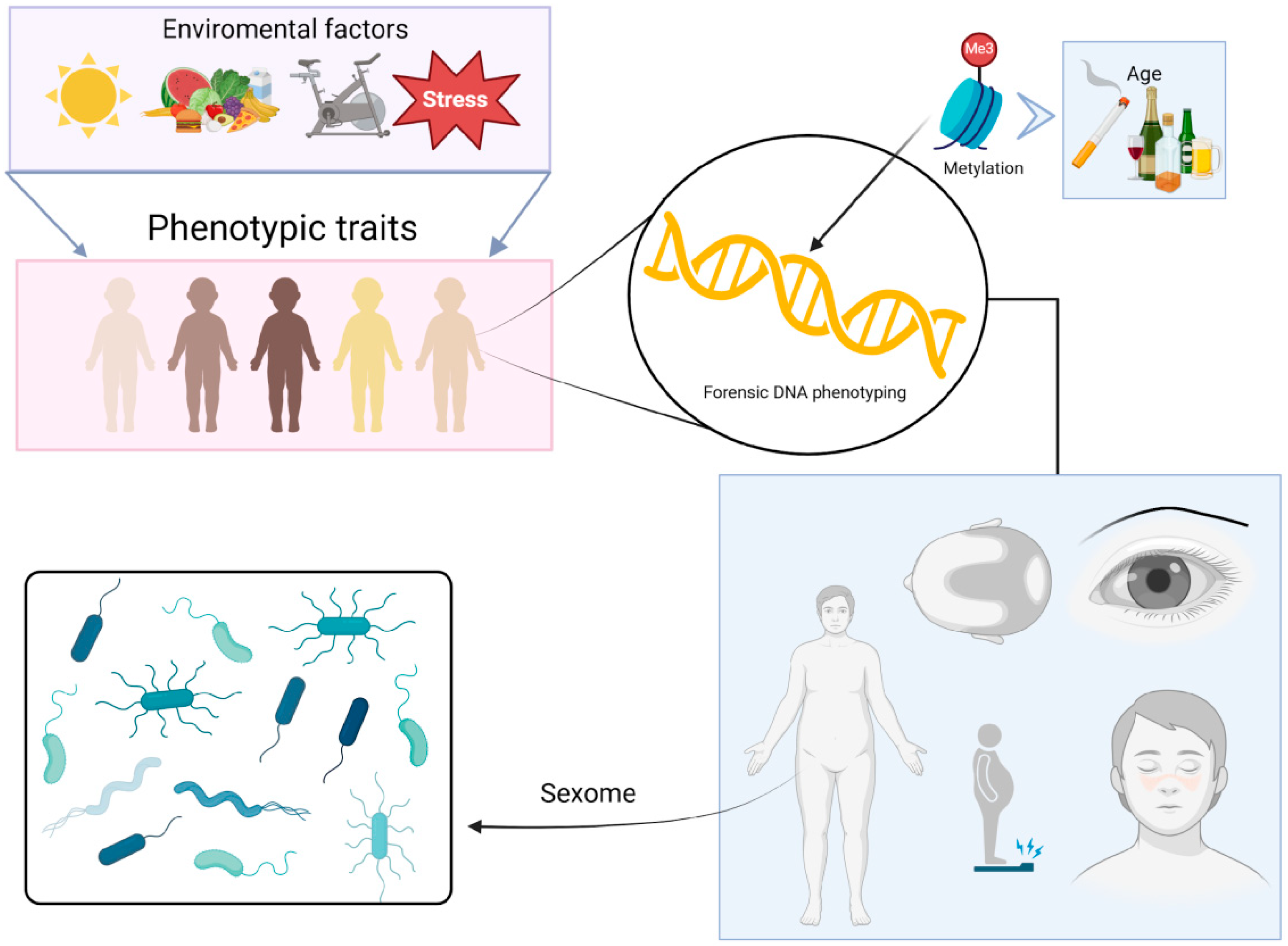 Biomolecules 15 00713 g005