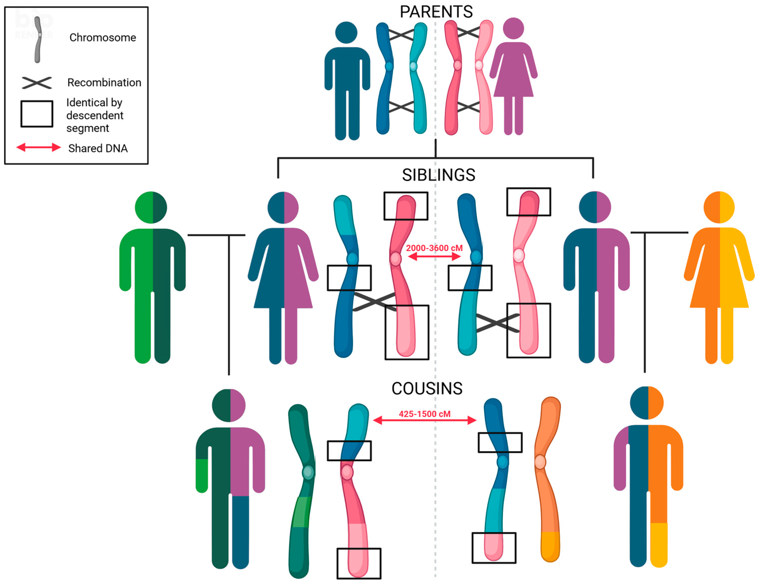Biomolecules 15 00713 g006
