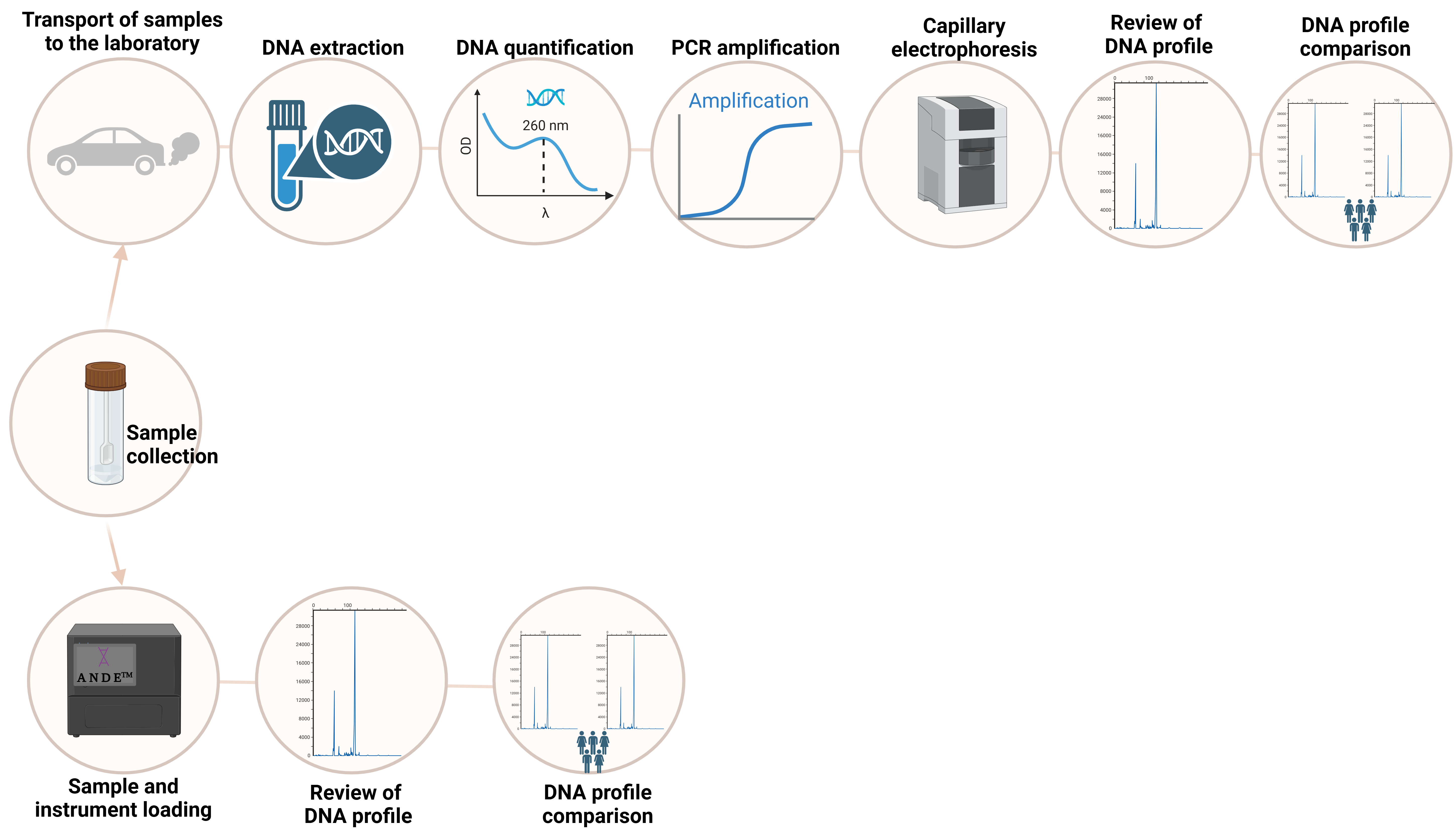 Biomolecules 15 00713 g007