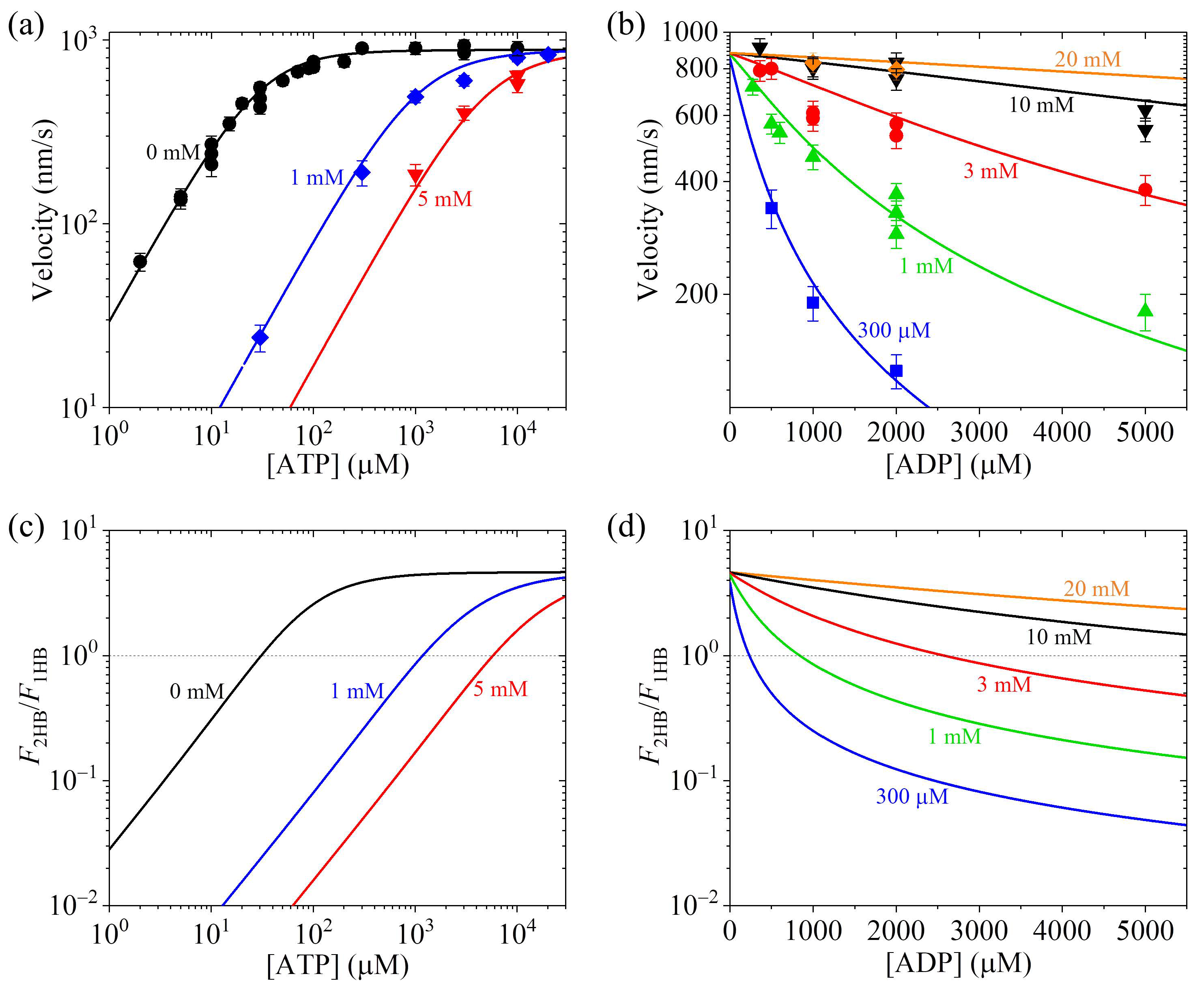 Biomolecules 15 00717 g005 Biomolecules 15 00717 g005