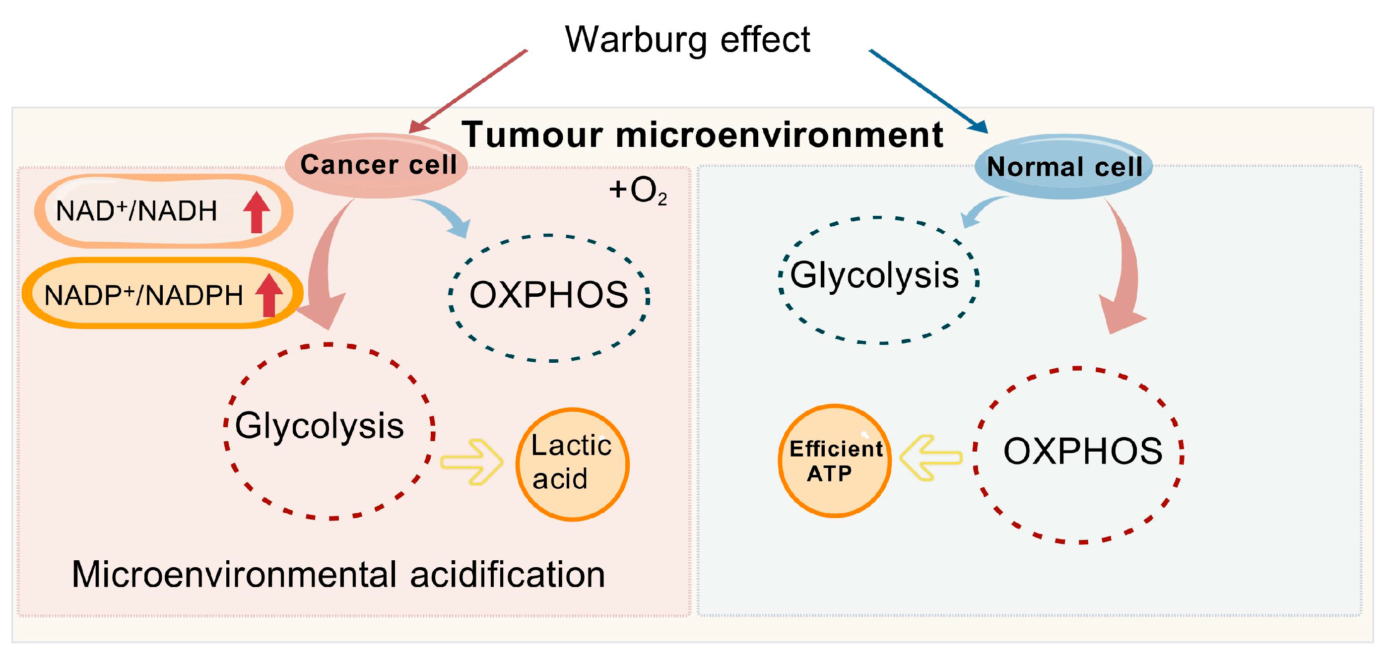 Biomolecules 15 00719 g002 Biomolecules 15 00719 g002