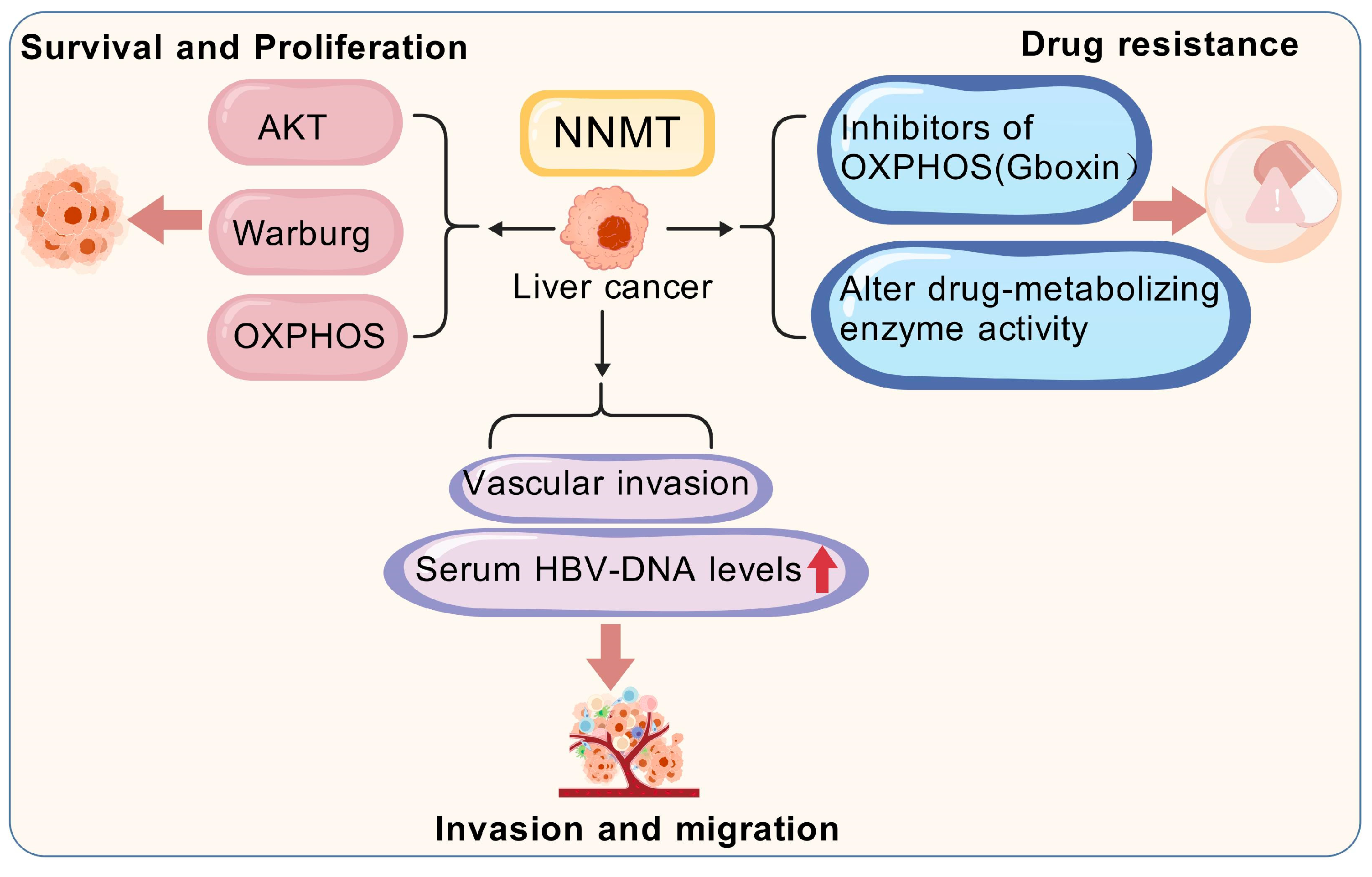 Biomolecules 15 00719 g005 Biomolecules 15 00719 g005