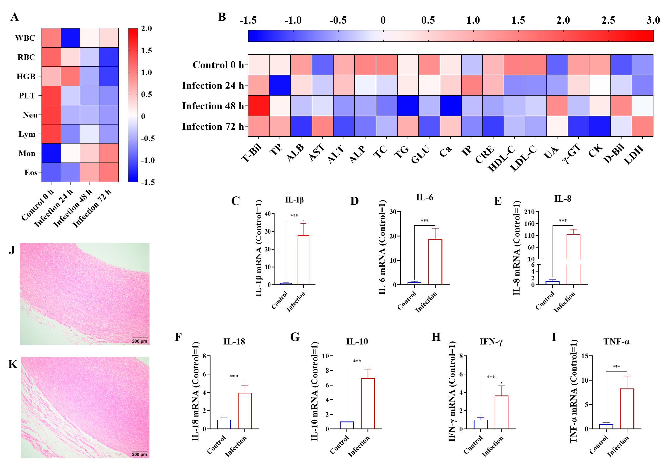 Biomolecules 15 00722 g001