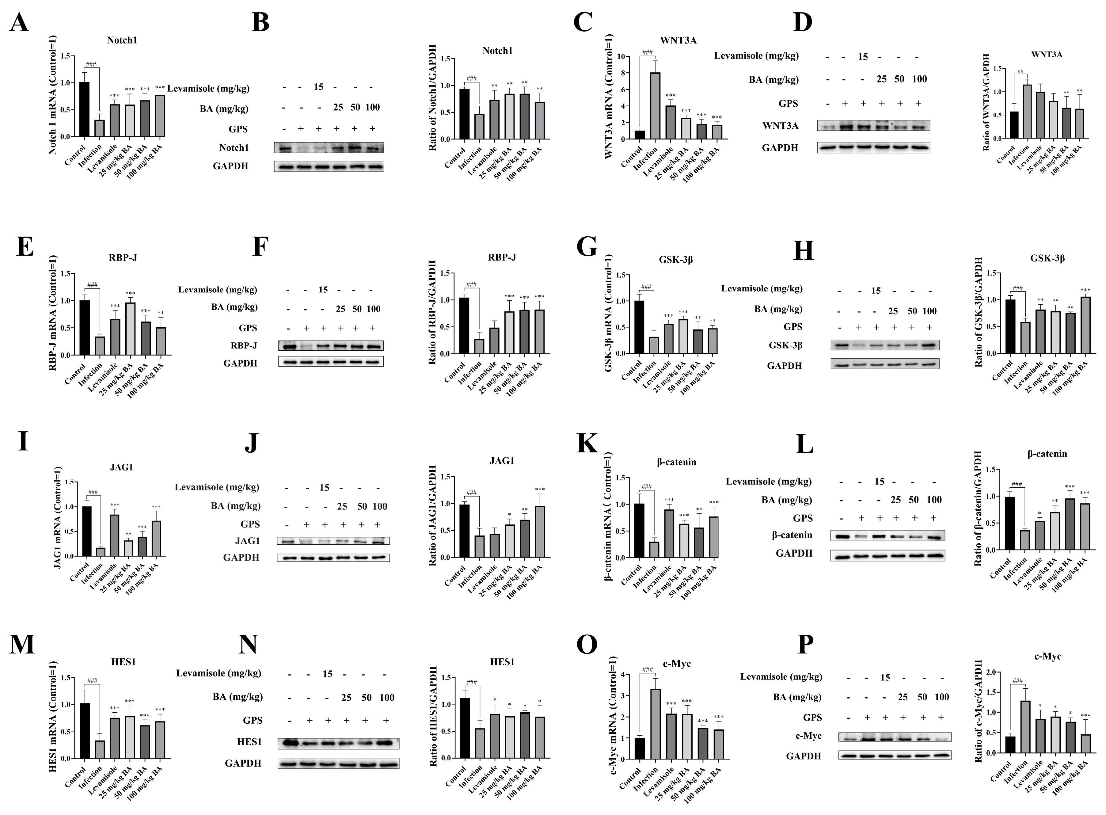 Biomolecules 15 00722 g005